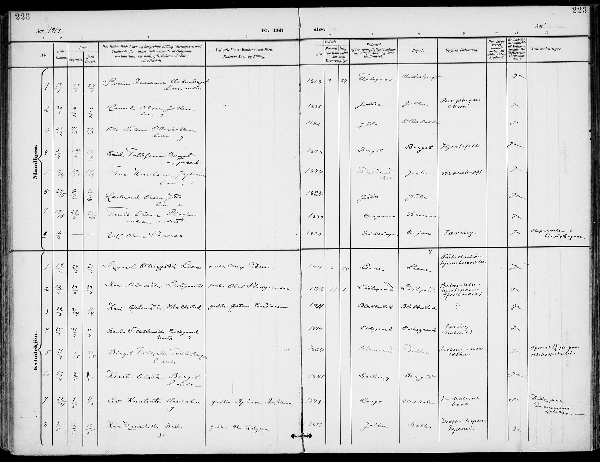 Gol kirkebøker, SAKO/A-226/F/Fa/L0006: Parish register (official) no. I 6, 1901-1918, p. 223