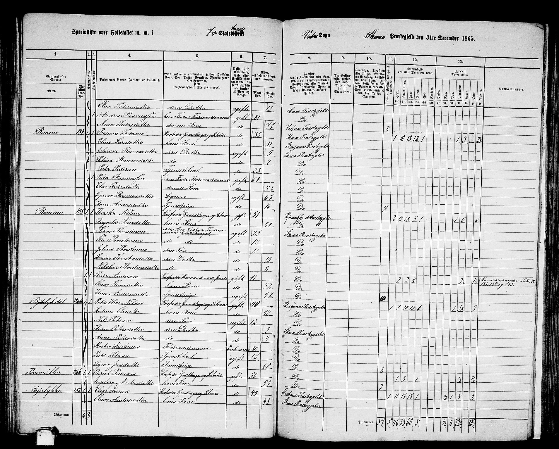 RA, 1865 census for Skodje, 1865, p. 100