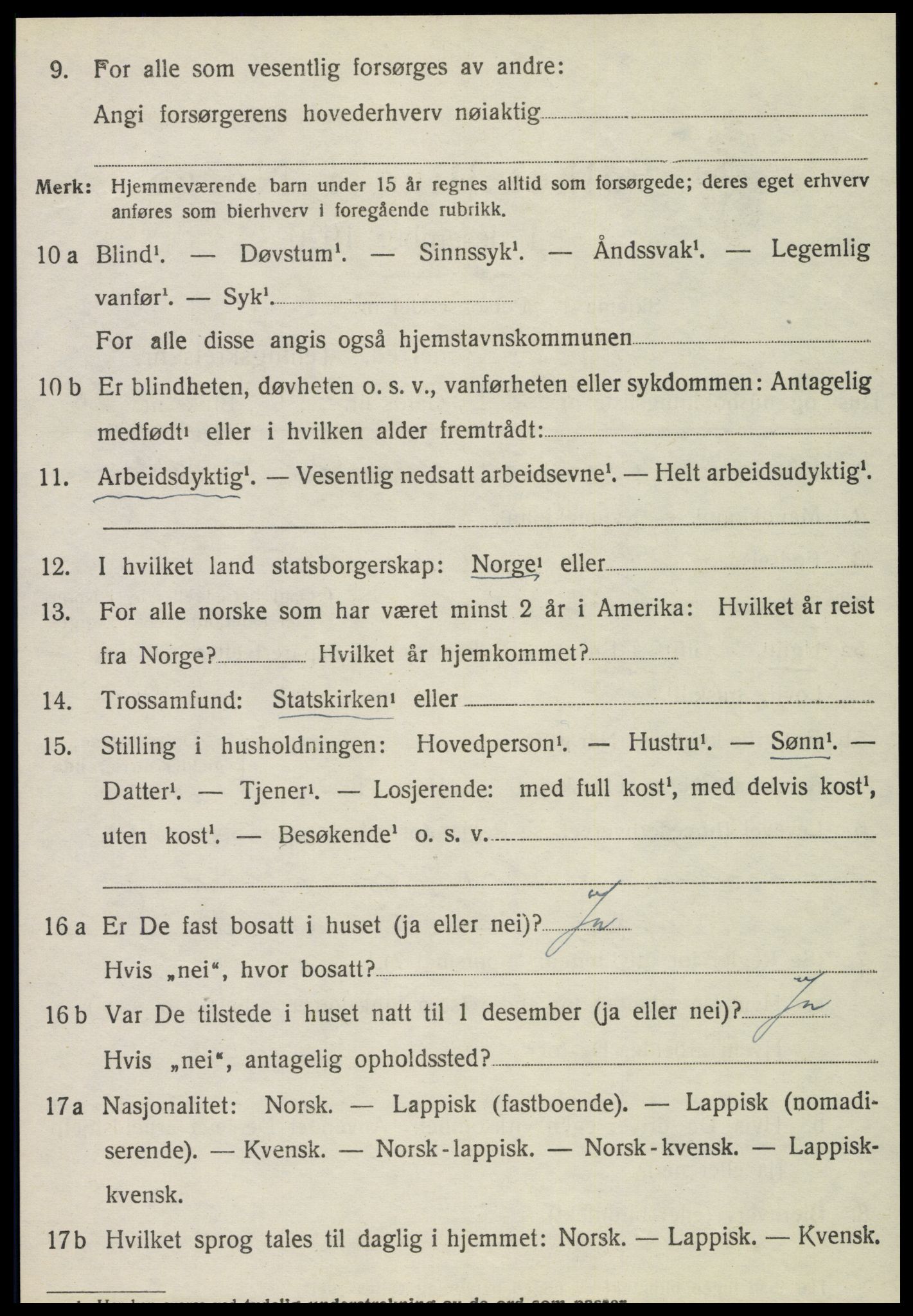 SAT, 1920 census for Vik, 1920, p. 2374