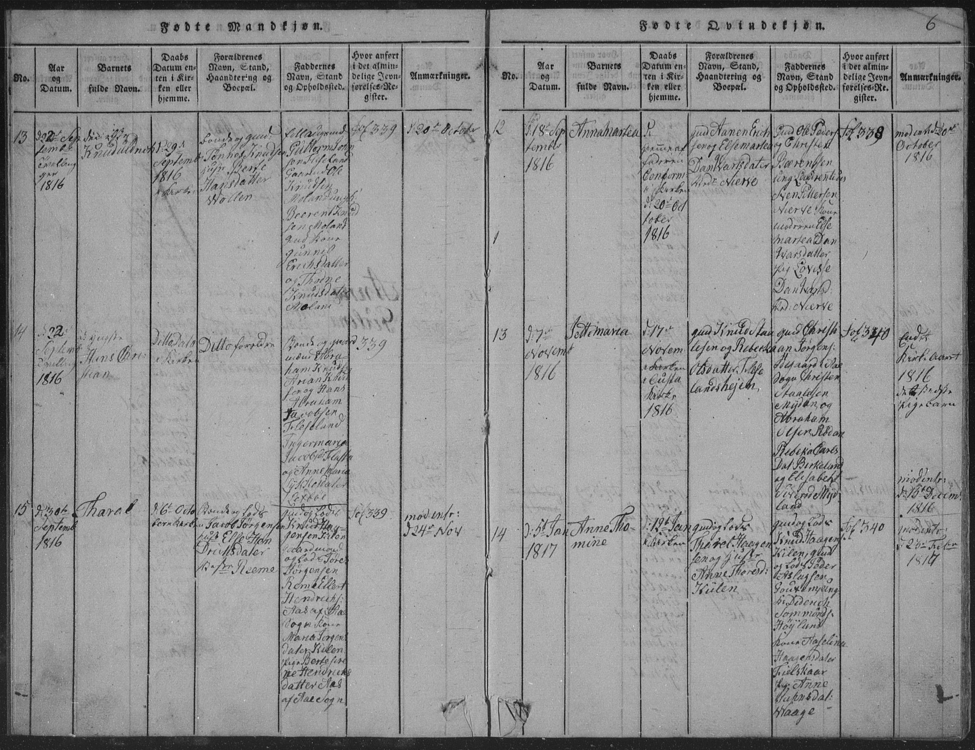 Sør-Audnedal sokneprestkontor, AV/SAK-1111-0039/F/Fb/Fba/L0001: Parish register (copy) no. B 1, 1815-1850, p. 6