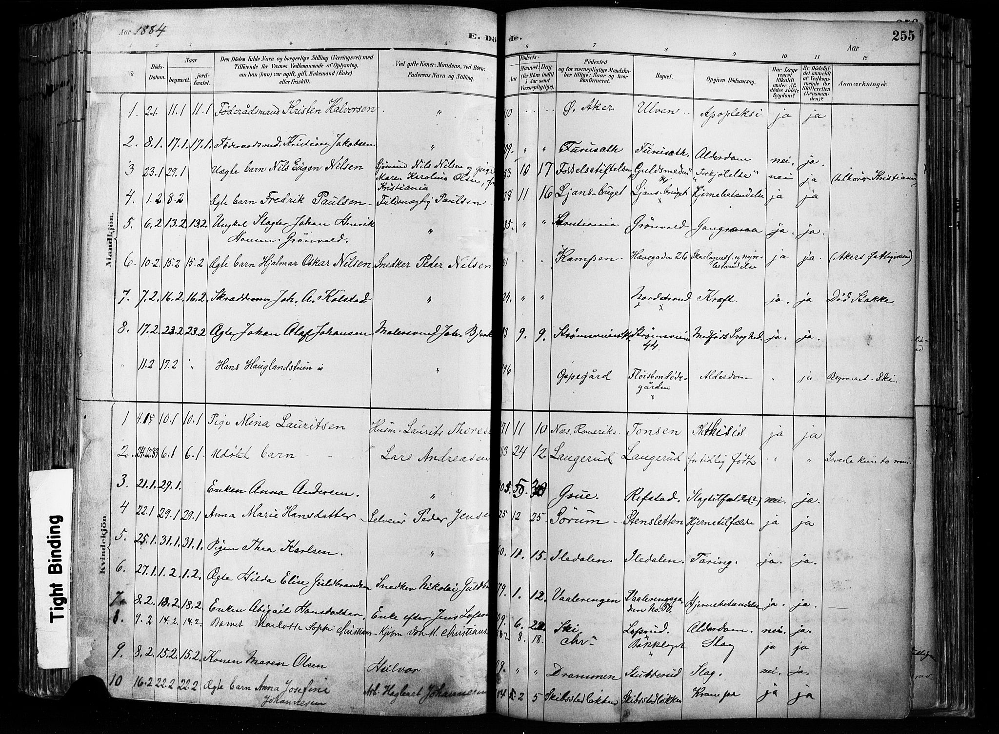Østre Aker prestekontor Kirkebøker, SAO/A-10840/F/Fa/L0008: Parish register (official) no. I 8, 1883-1894, p. 255