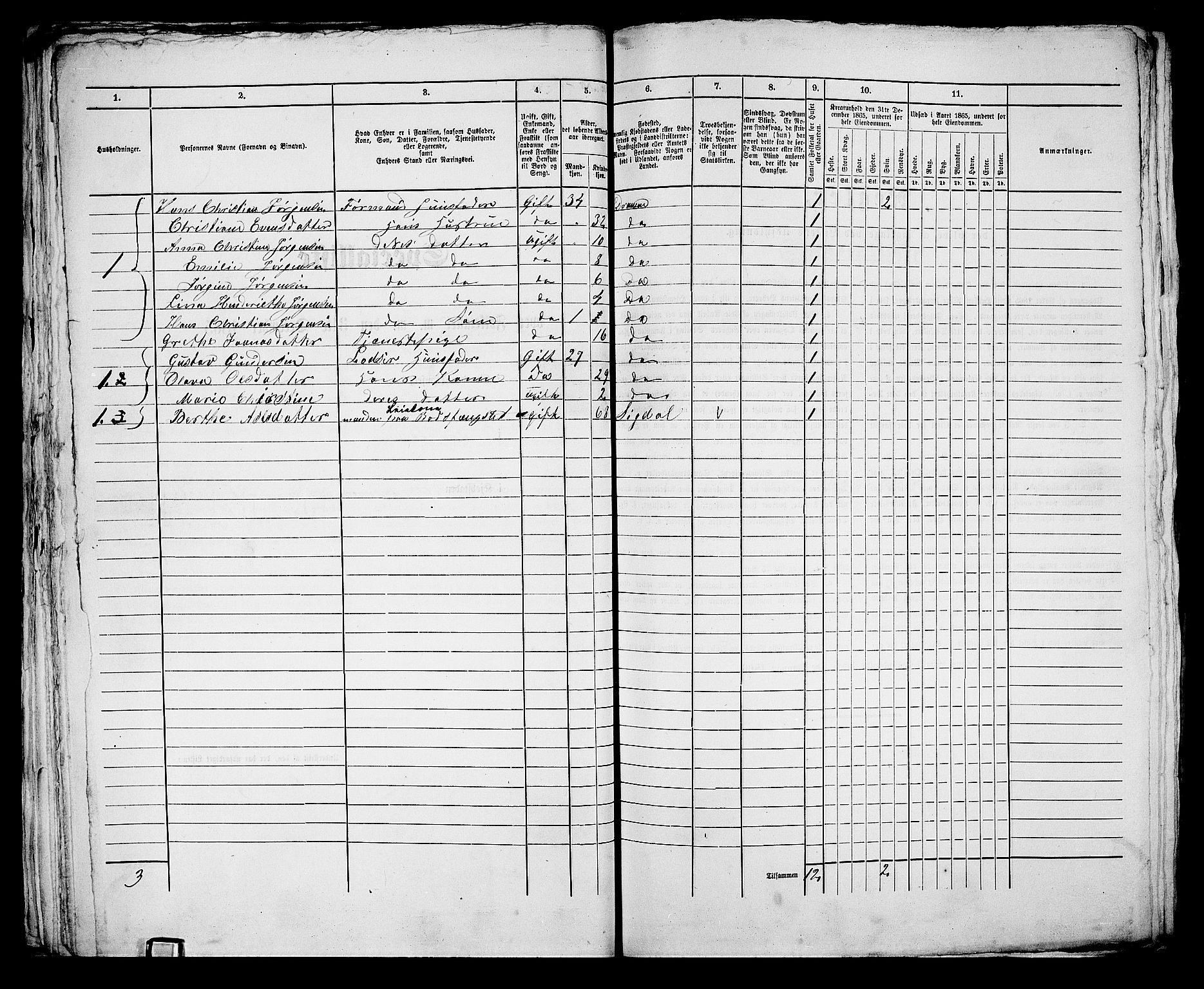 RA, 1865 census for Bragernes in Drammen, 1865, p. 58