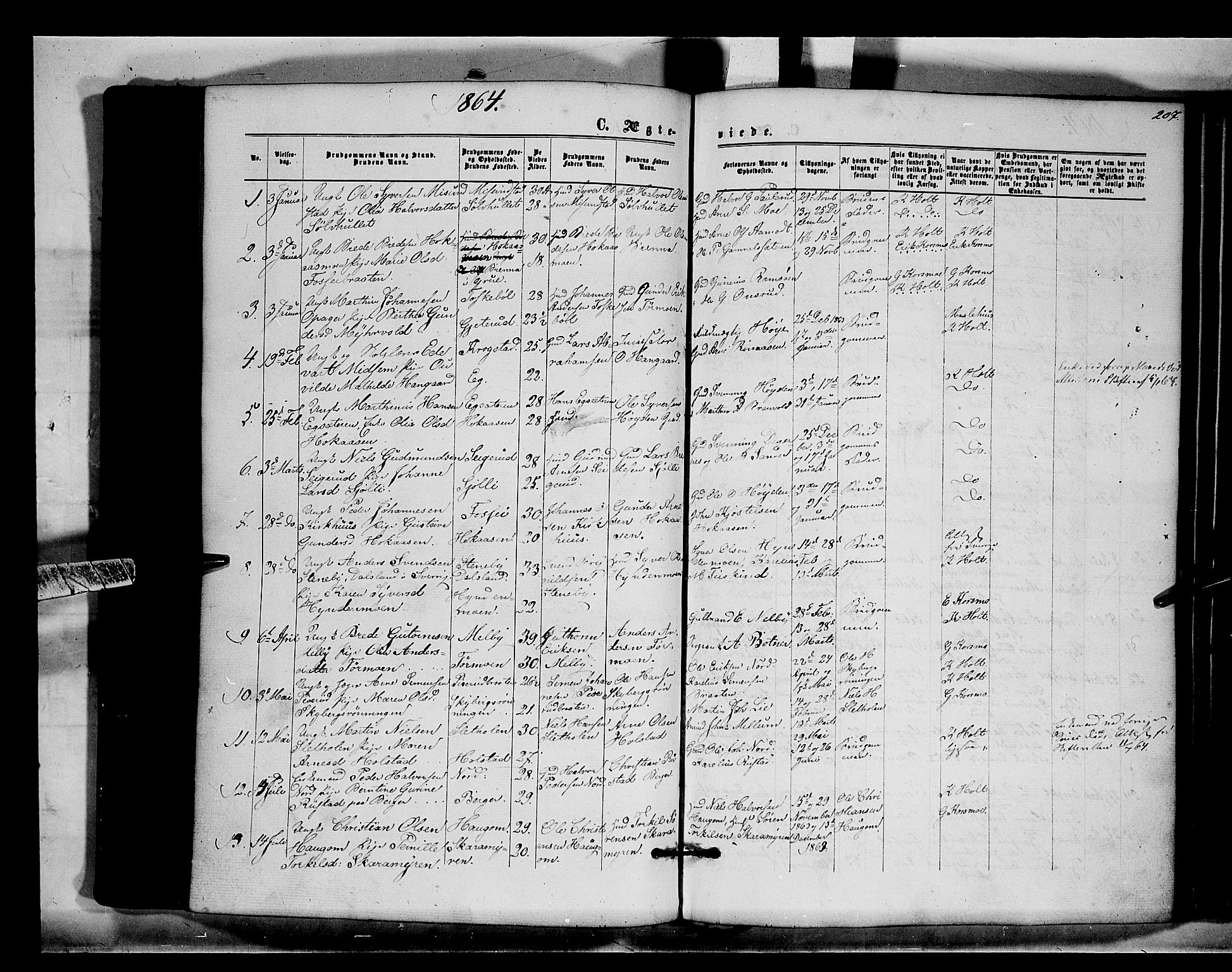 Brandval prestekontor, SAH/PREST-034/H/Ha/Haa/L0001: Parish register (official) no. 1, 1864-1879, p. 207