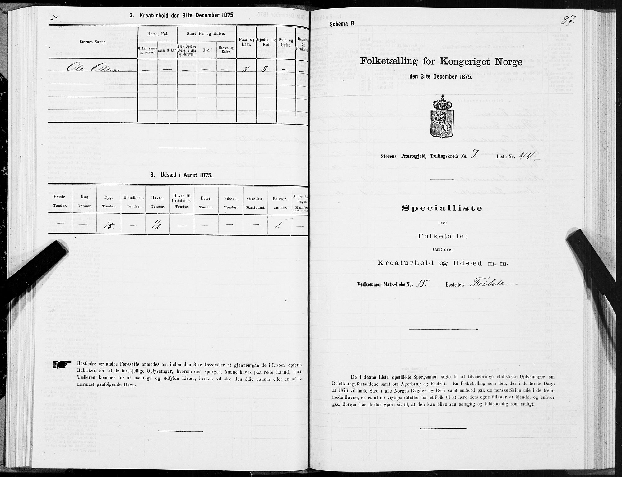 SAT, 1875 census for 1648P Støren, 1875, p. 4087