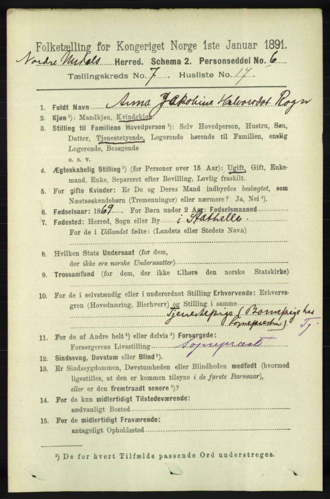 RA, 1891 census for 1028 Nord-Audnedal, 1891, p. 1889