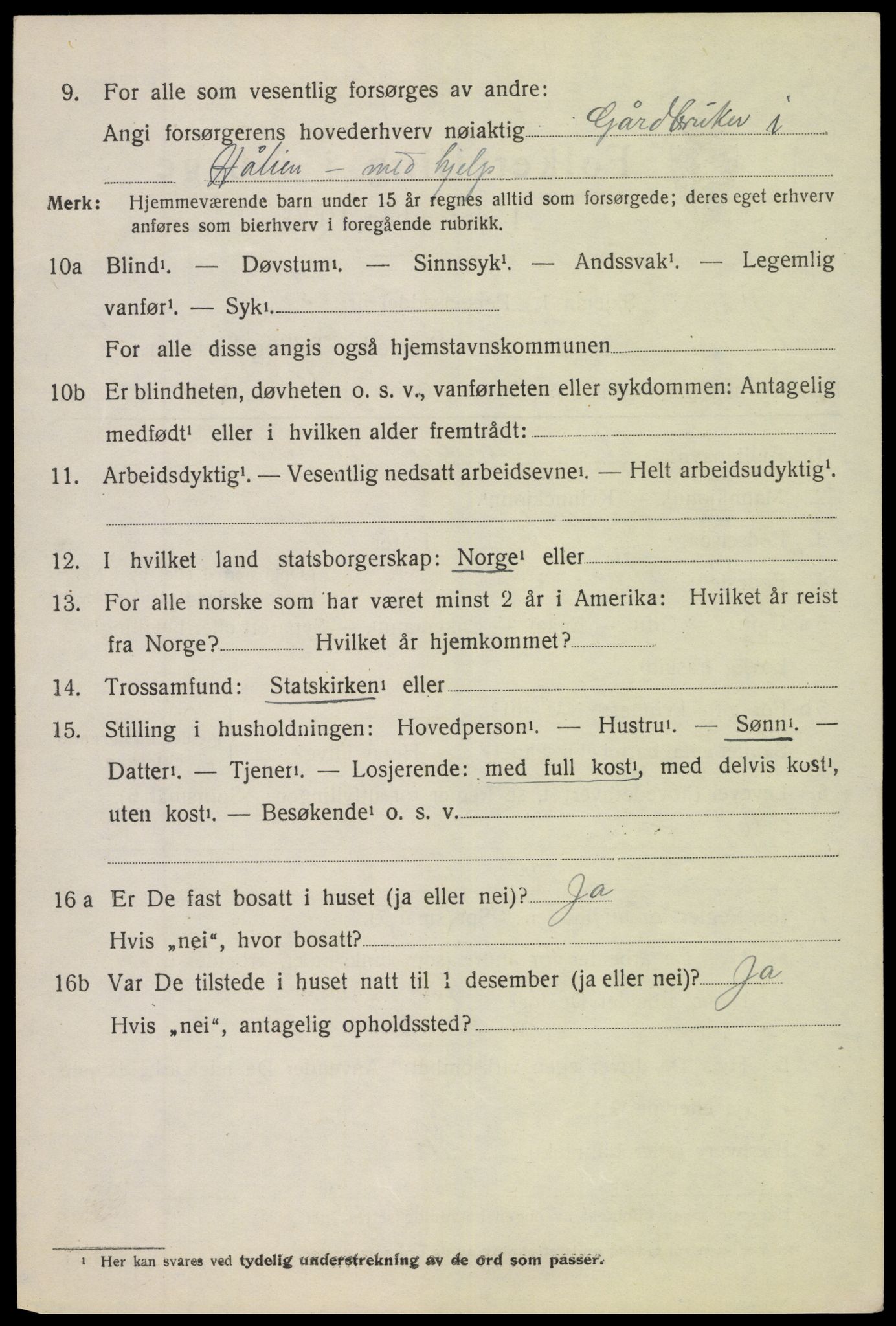 SAH, 1920 census for Vang (Oppland), 1920, p. 3862