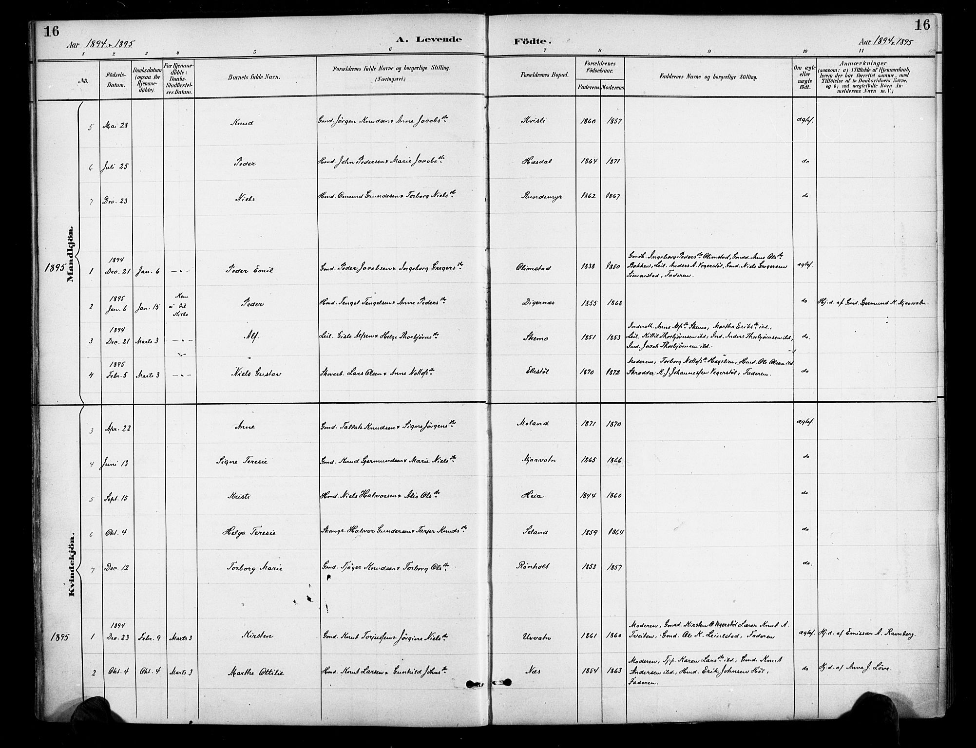 Gjerstad sokneprestkontor, AV/SAK-1111-0014/F/Fa/Fab/L0005: Parish register (official) no. A 5, 1891-1908, p. 16