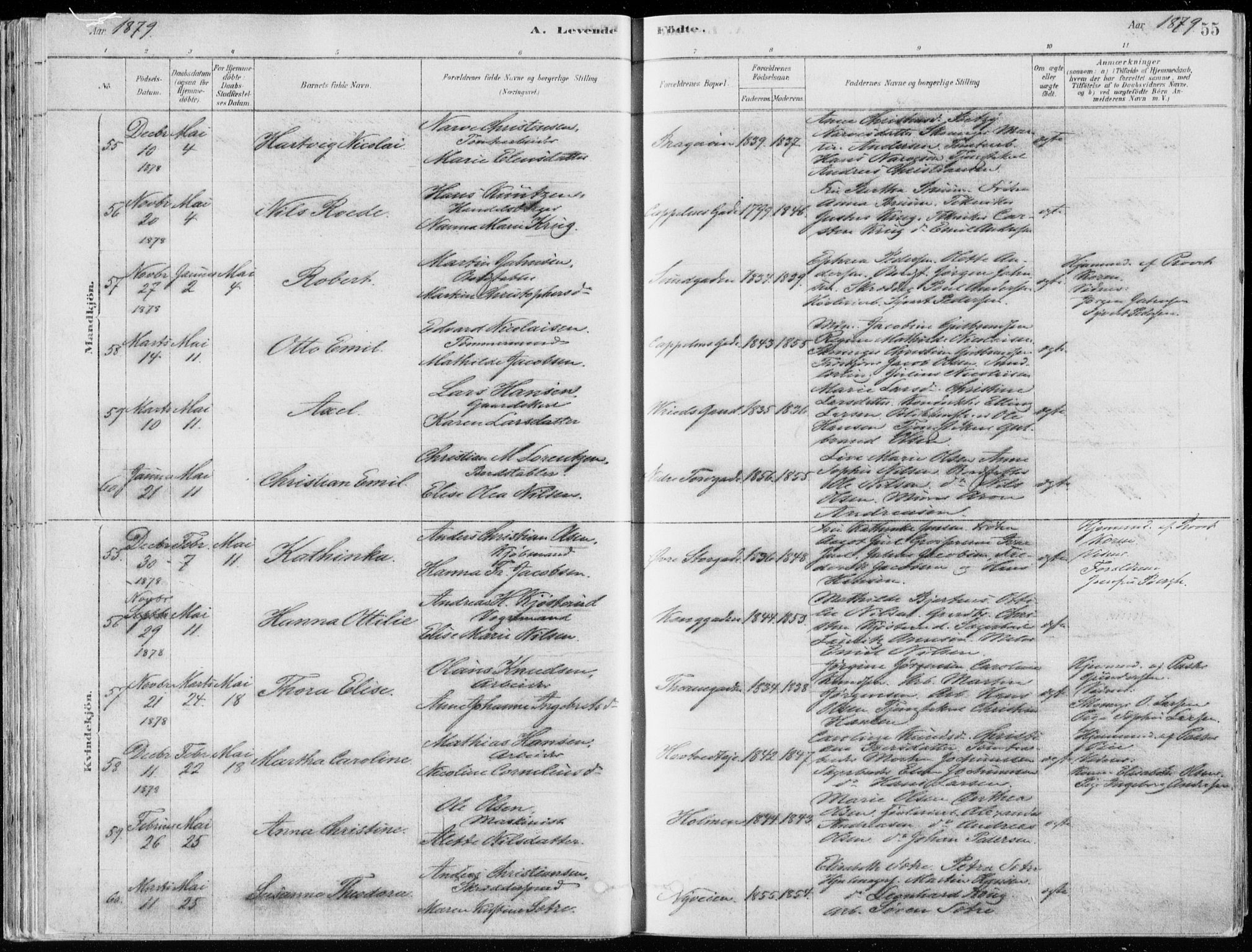 Bragernes kirkebøker, AV/SAKO-A-6/F/Fb/L0006a: Parish register (official) no. II 6A, 1878-1885, p. 55