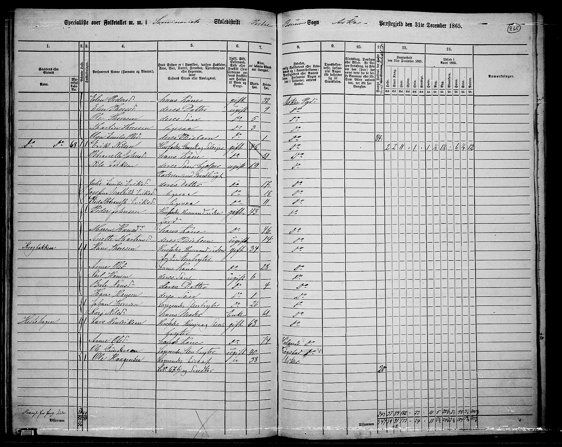 RA, 1865 census for Asker, 1865, p. 253