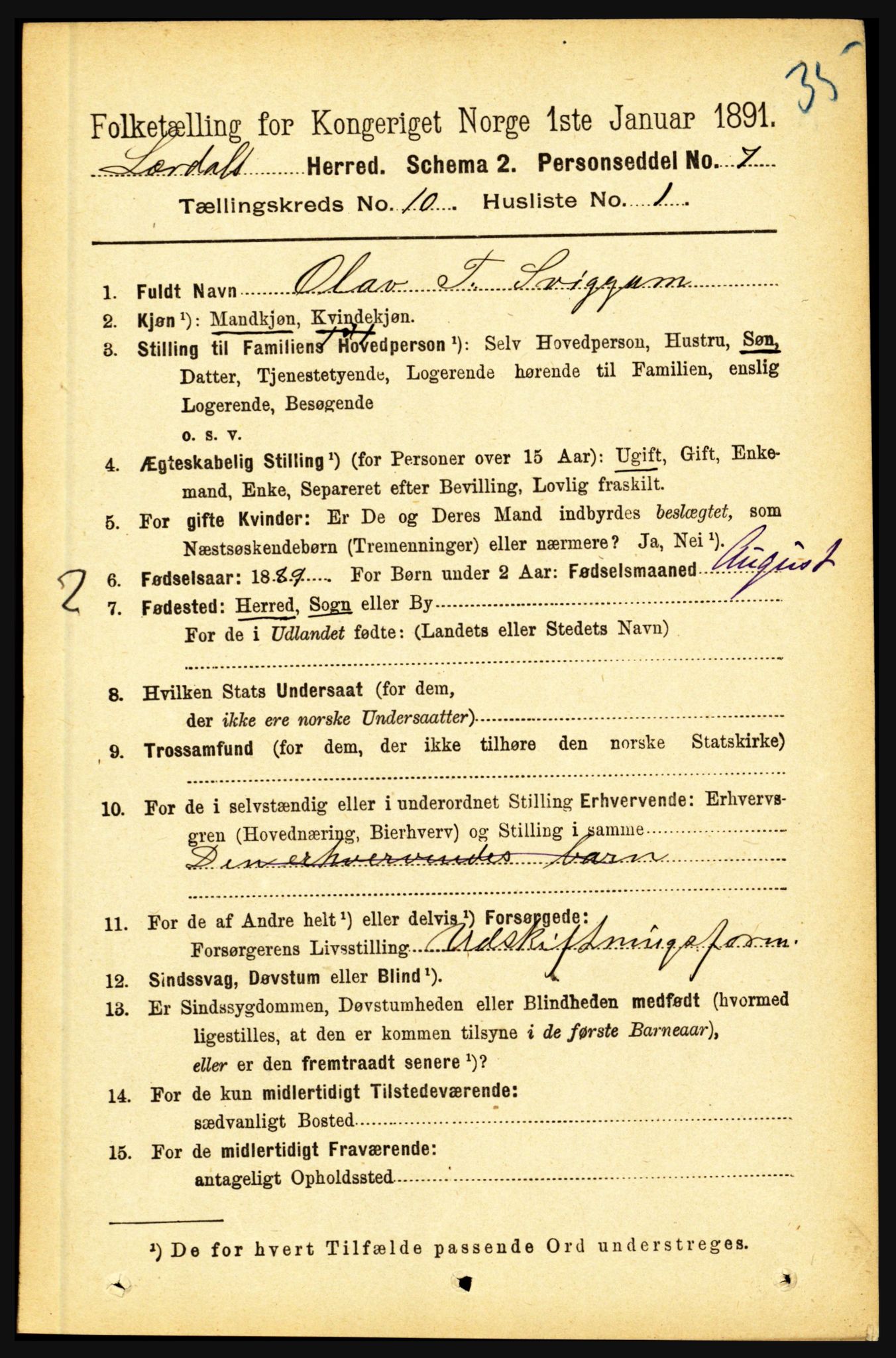 RA, 1891 census for 1422 Lærdal, 1891, p. 1703