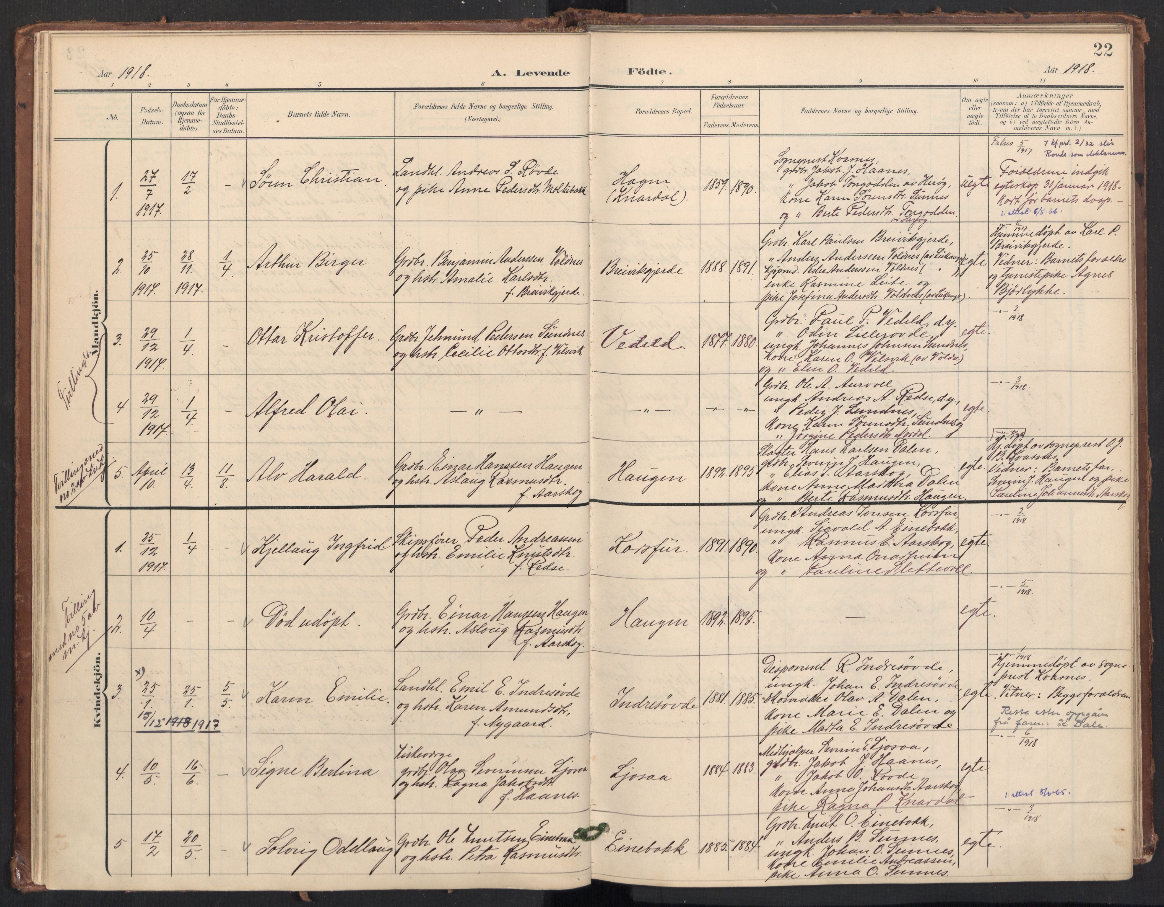 Ministerialprotokoller, klokkerbøker og fødselsregistre - Møre og Romsdal, AV/SAT-A-1454/504/L0057: Parish register (official) no. 504A04, 1902-1919, p. 22