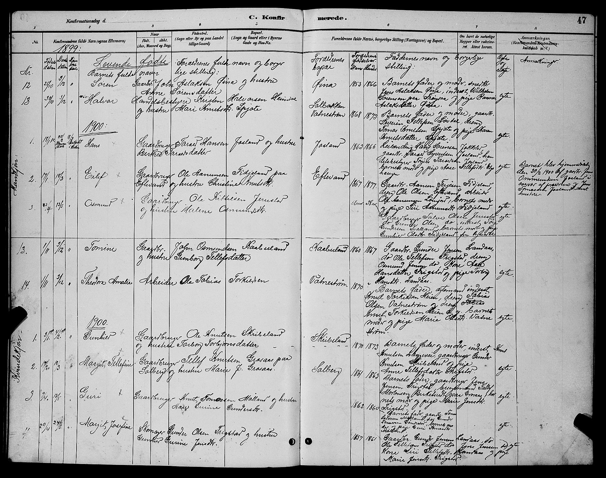 Evje sokneprestkontor, AV/SAK-1111-0008/F/Fb/Fbc/L0004: Parish register (copy) no. B 4, 1890-1900, p. 47