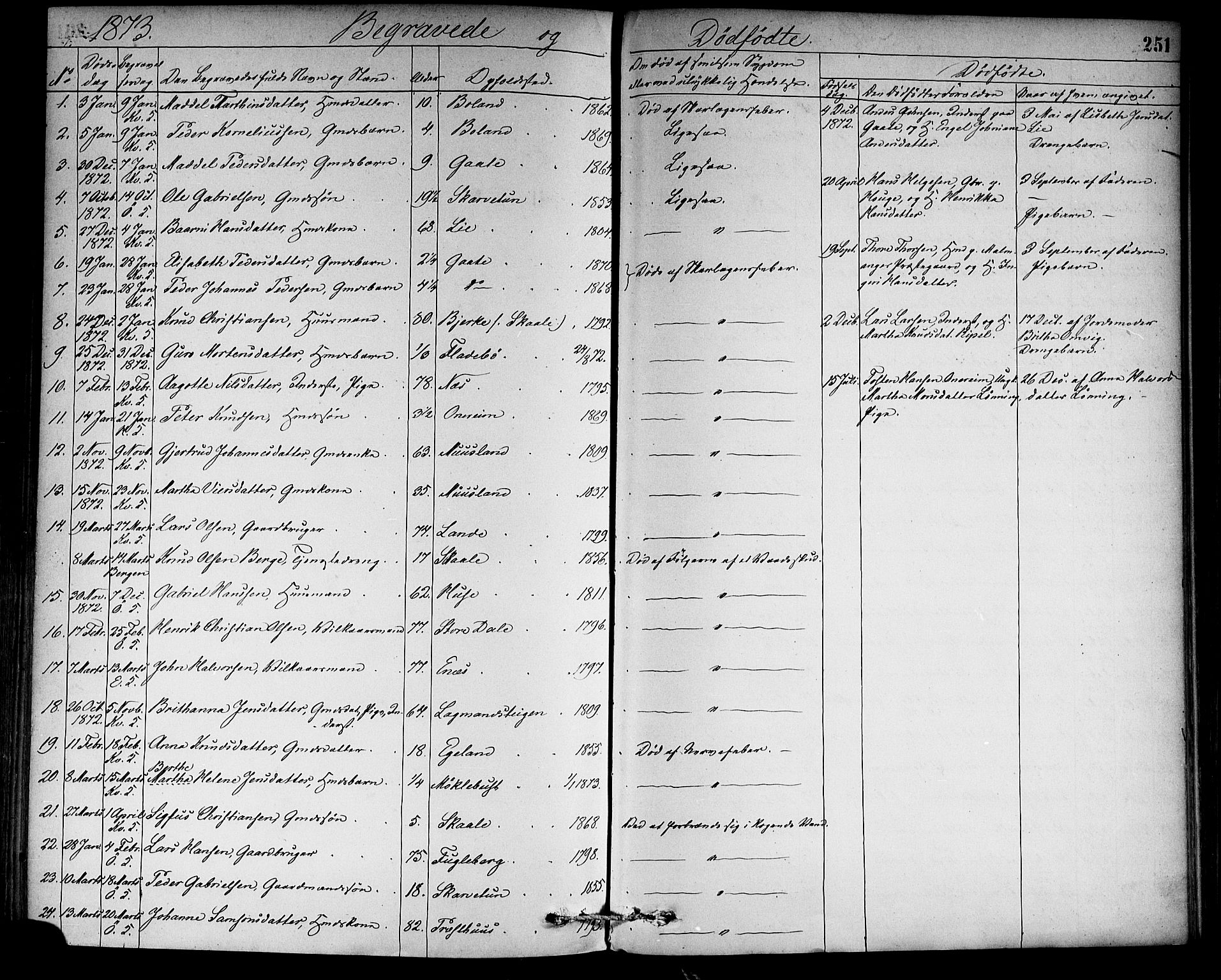Kvinnherad sokneprestembete, SAB/A-76401/H/Haa: Parish register (official) no. A 9, 1873-1886, p. 251