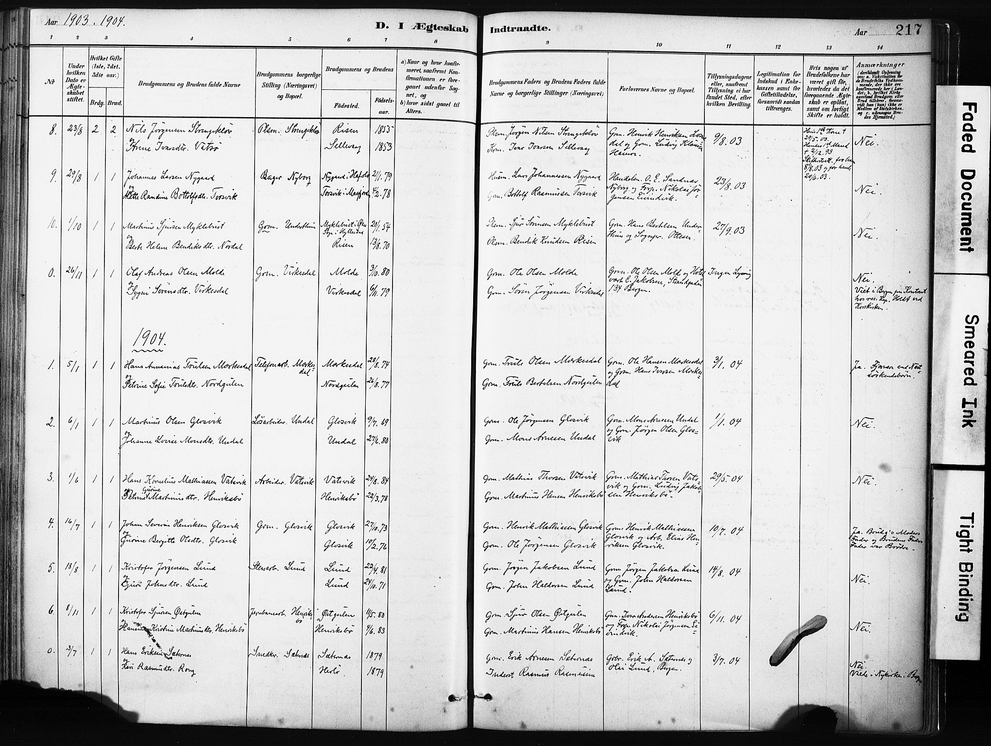 Gulen sokneprestembete, SAB/A-80201/H/Haa/Haab/L0001: Parish register (official) no. B 1, 1881-1905, p. 217