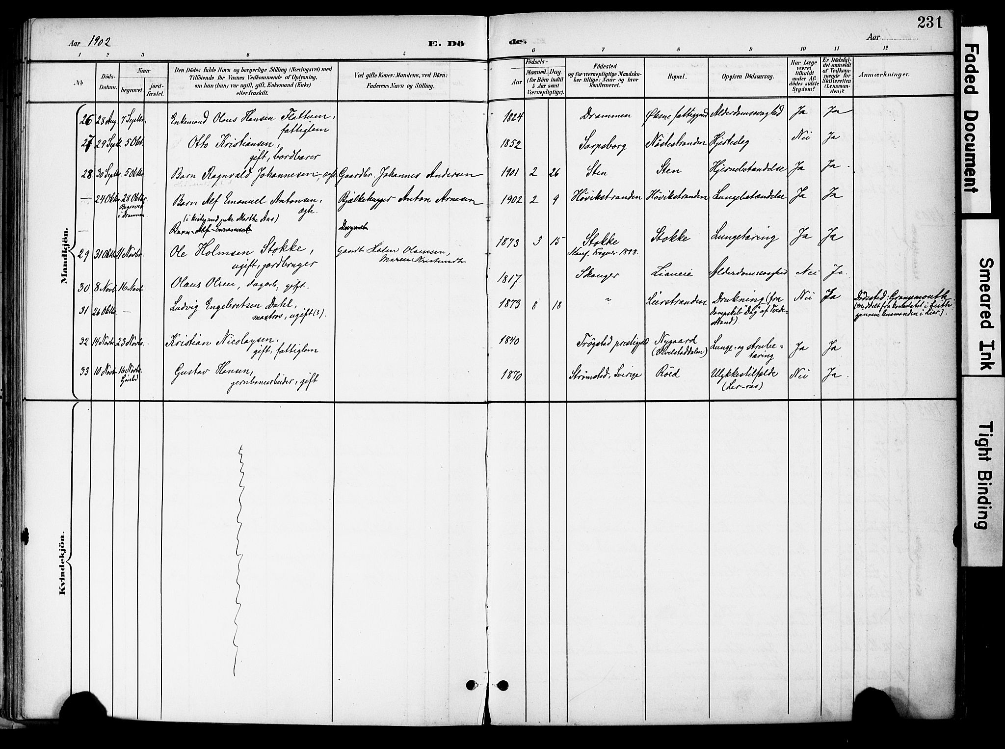 Lier kirkebøker, AV/SAKO-A-230/F/Fa/L0017: Parish register (official) no. I 17, 1901-1908, p. 231