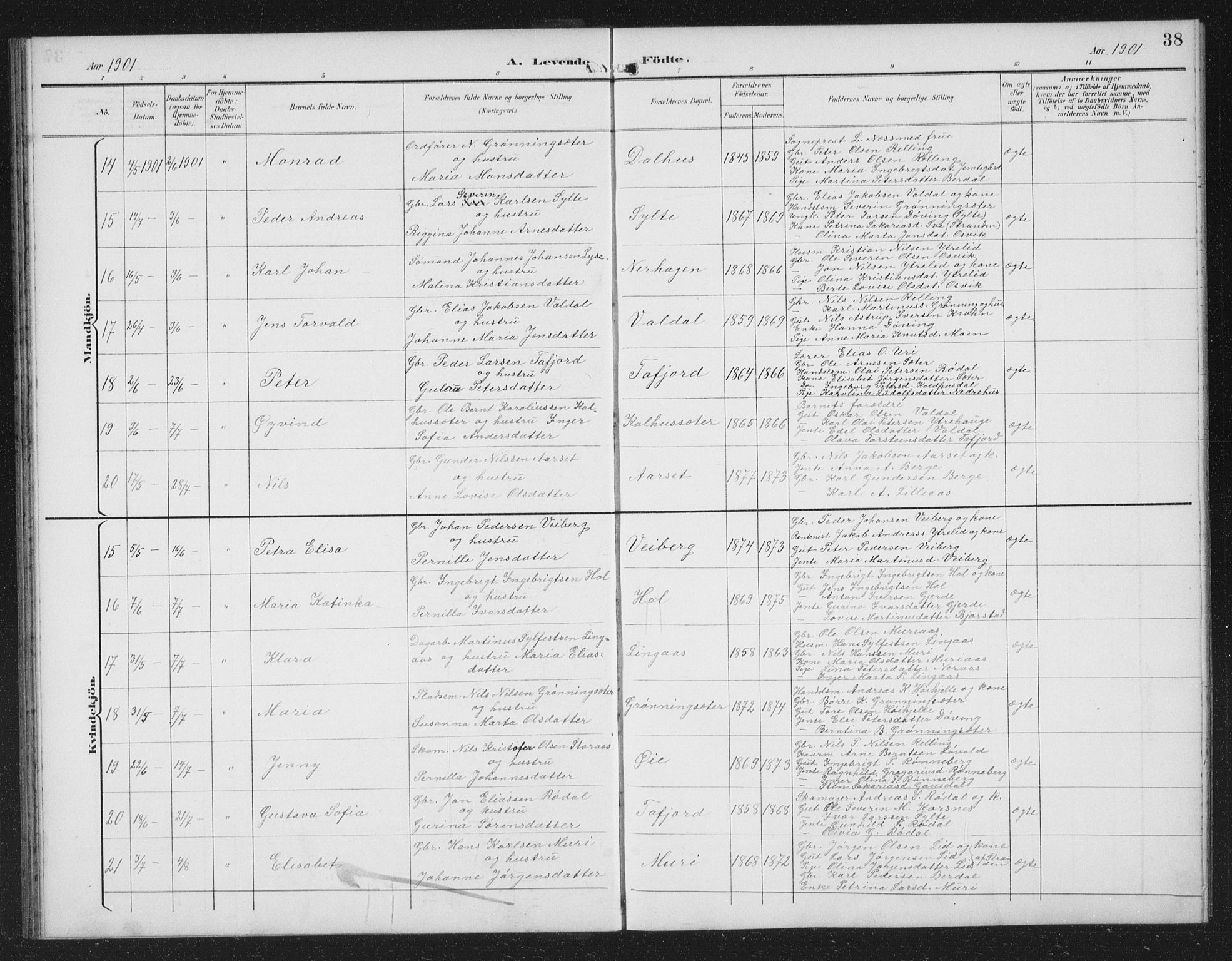 Ministerialprotokoller, klokkerbøker og fødselsregistre - Møre og Romsdal, SAT/A-1454/519/L0264: Parish register (copy) no. 519C05, 1892-1910, p. 38