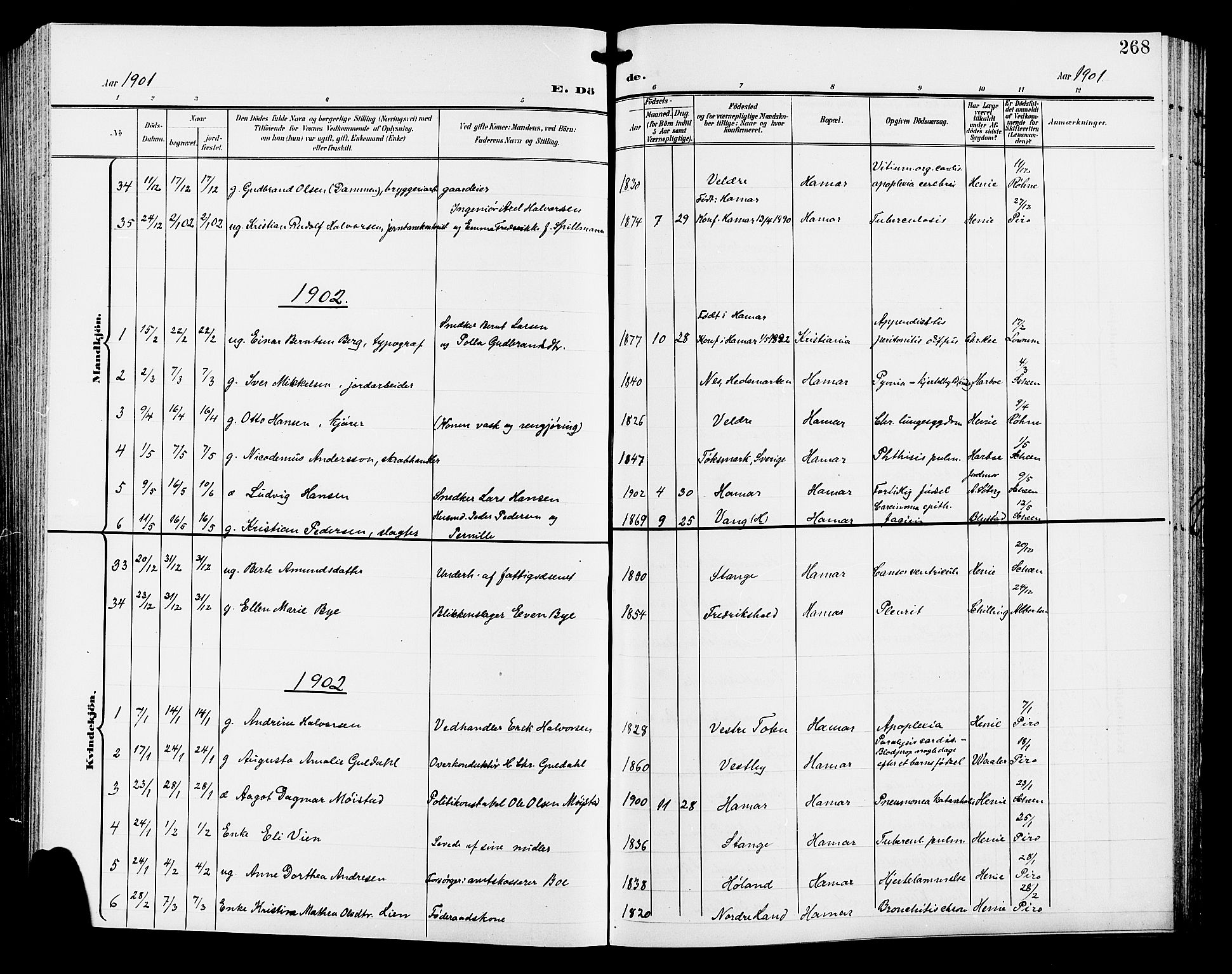 Hamar prestekontor, SAH/DOMPH-002/H/Ha/Hab/L0001: Parish register (copy) no. 1, 1899-1914, p. 268