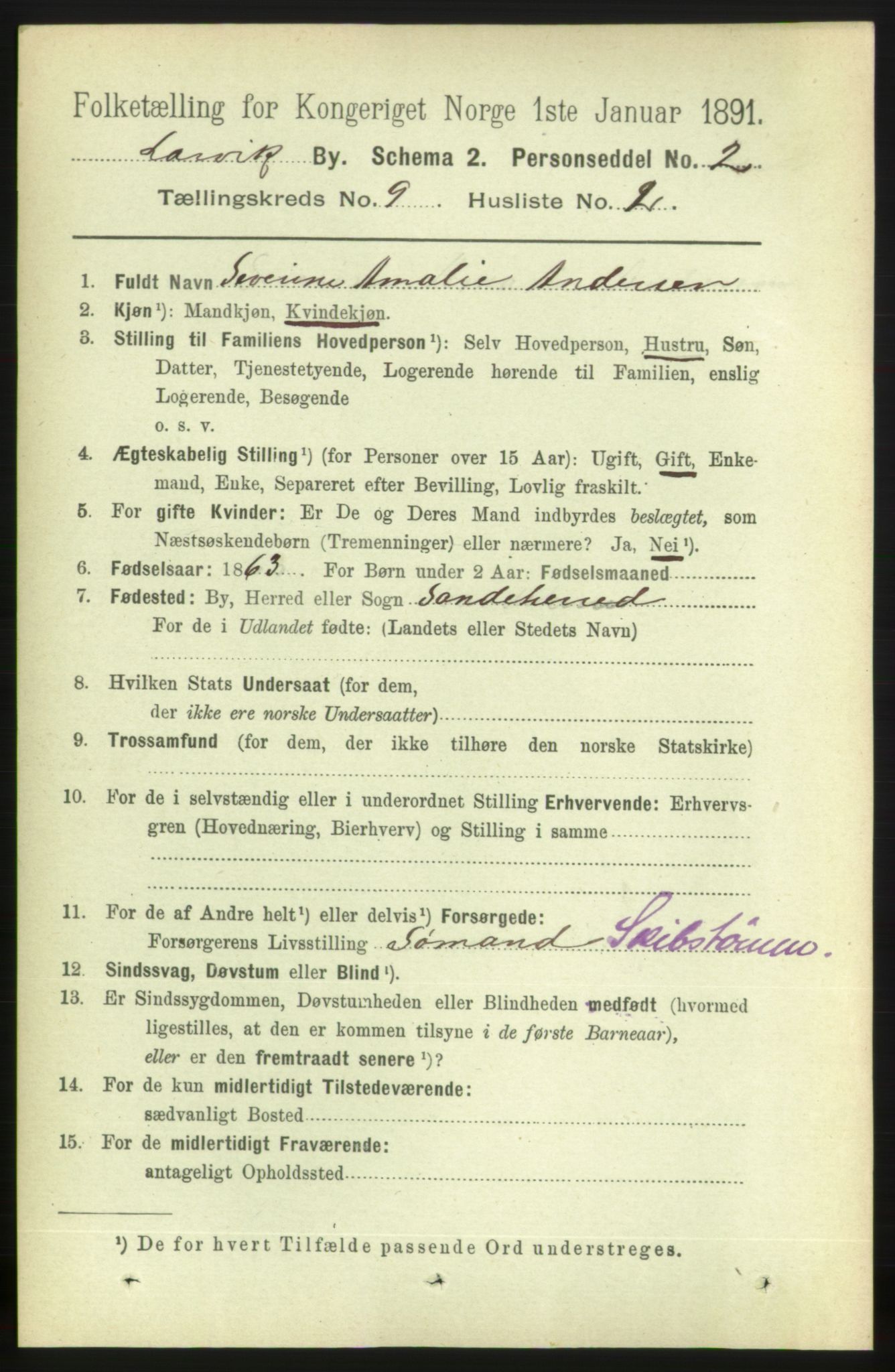 RA, 1891 census for 0707 Larvik, 1891, p. 8498