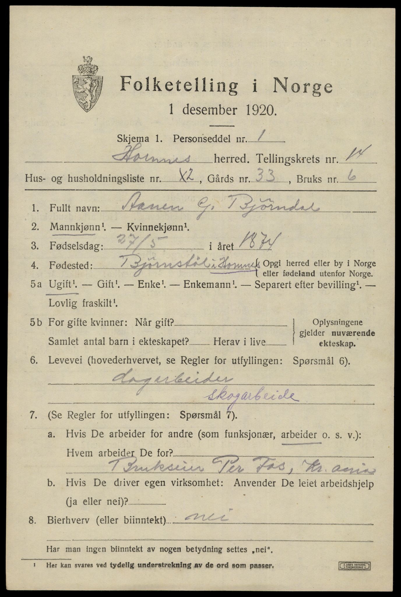 SAK, 1920 census for Hornnes, 1920, p. 3263