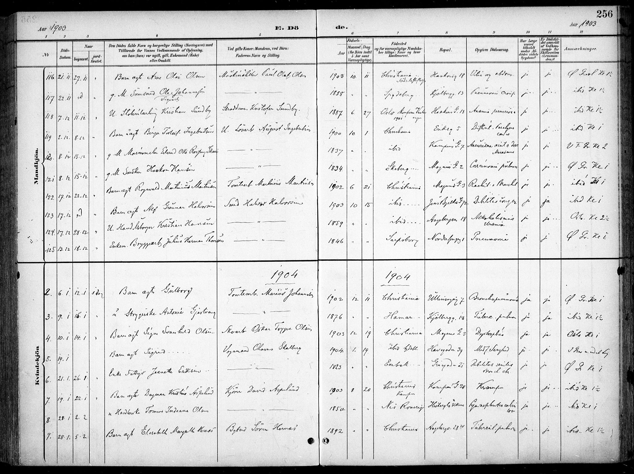 Kampen prestekontor Kirkebøker, SAO/A-10853/F/Fa/L0009: Parish register (official) no. I 9, 1899-1911, p. 256