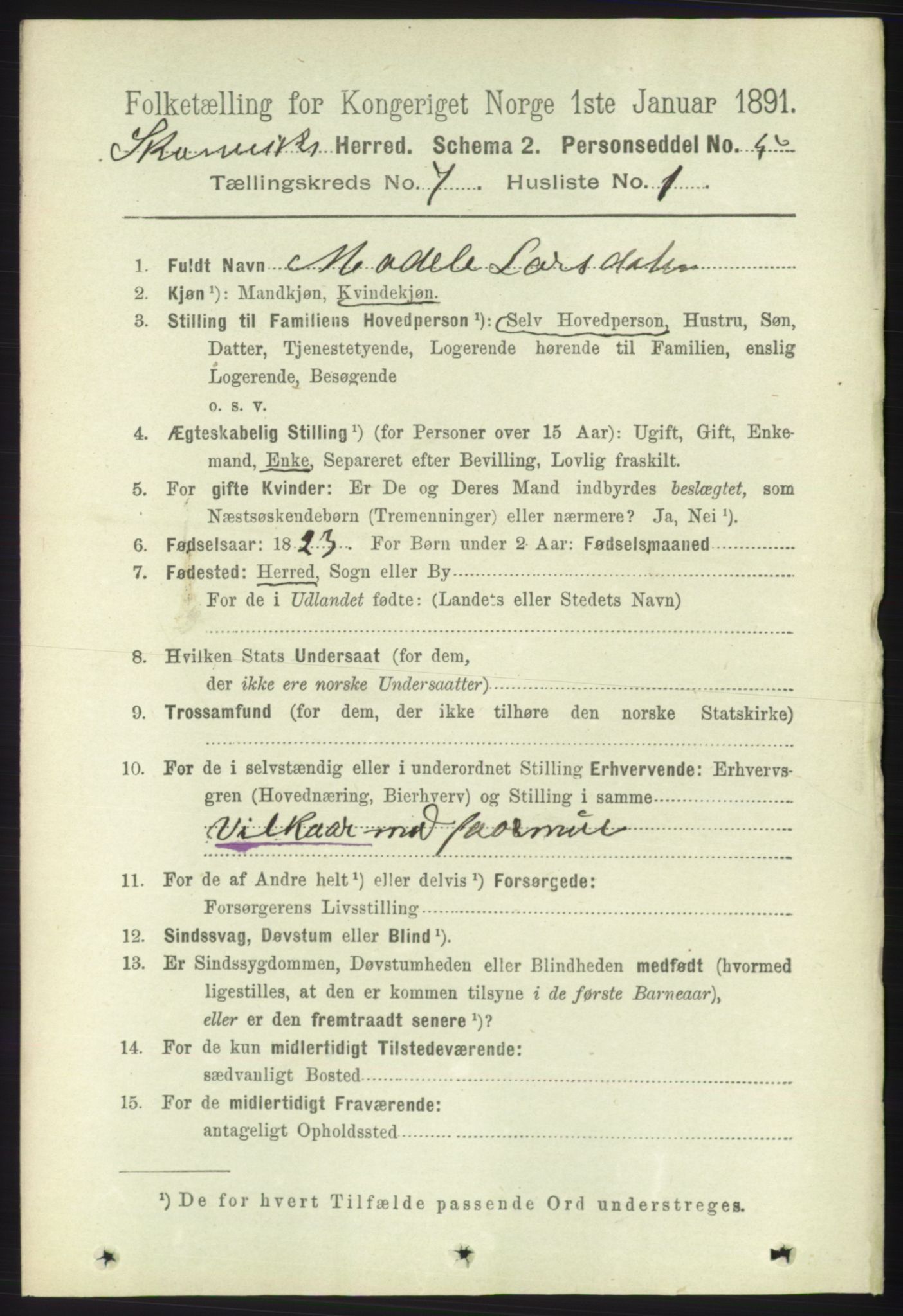 RA, 1891 census for 1212 Skånevik, 1891, p. 1889