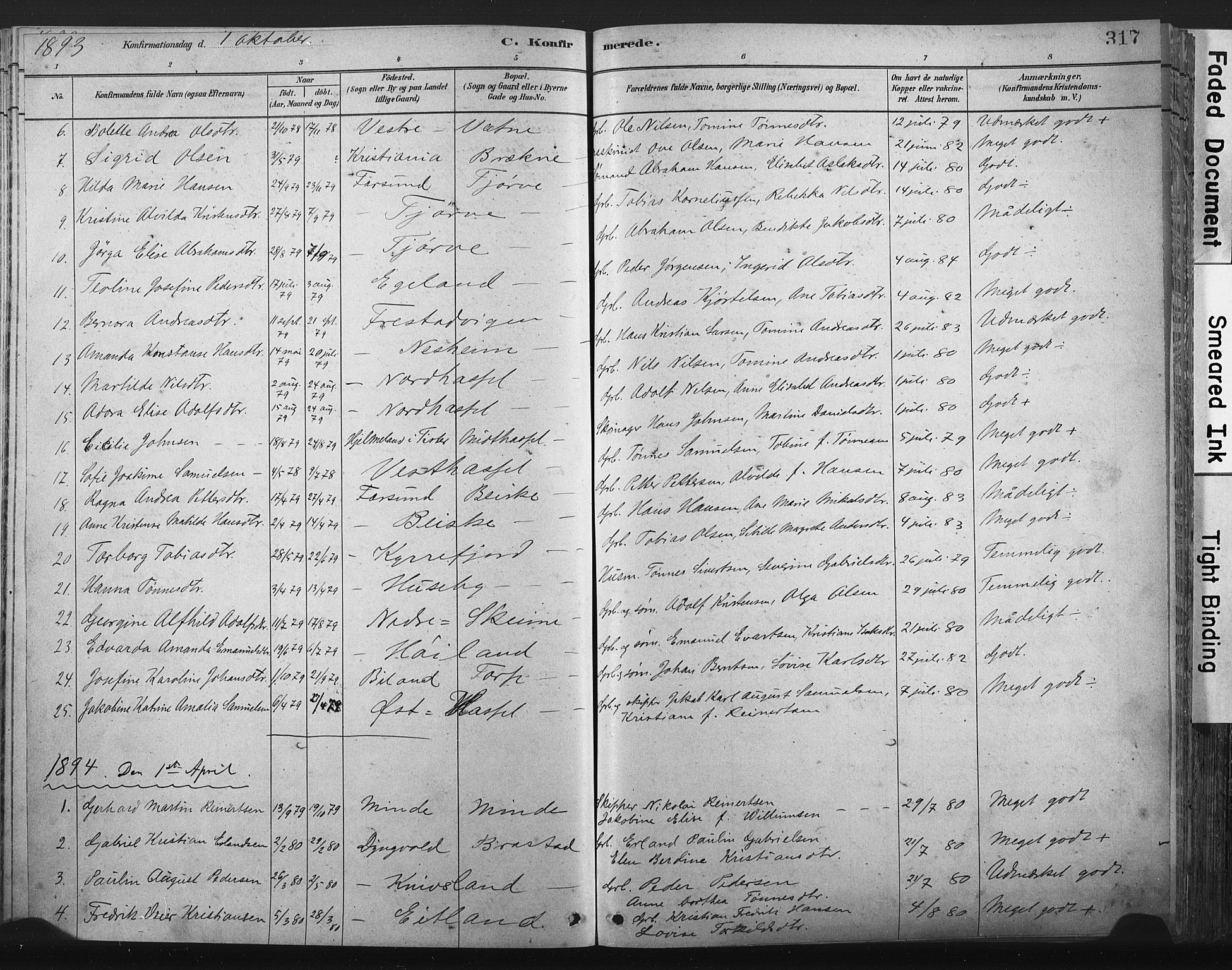 Lista sokneprestkontor, AV/SAK-1111-0027/F/Fa/L0012: Parish register (official) no. A 12, 1879-1903, p. 317