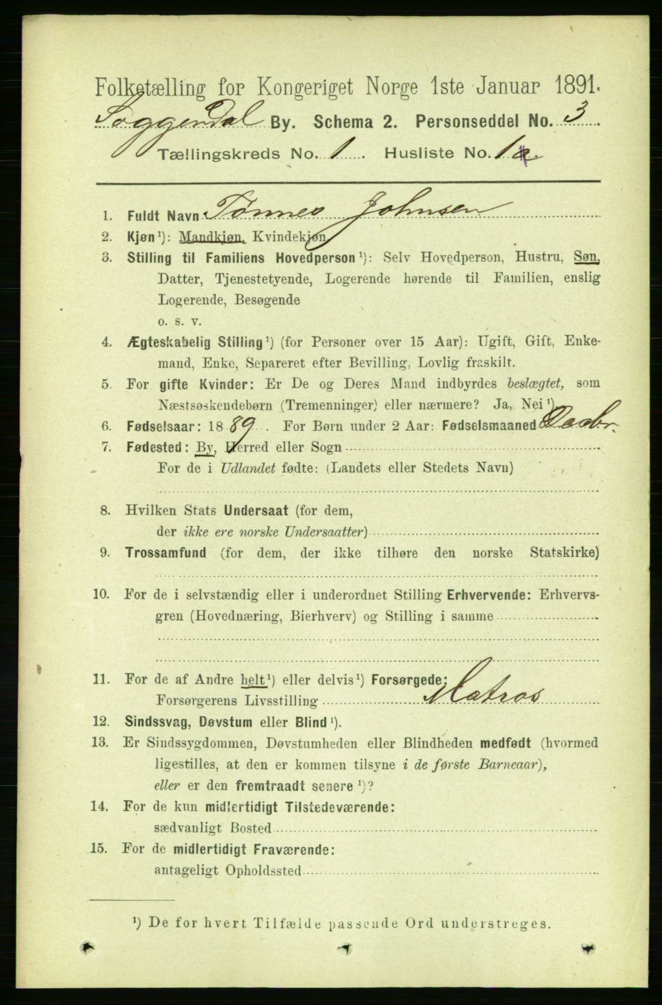 RA, 1891 census for 1107 Sokndal, 1891, p. 14