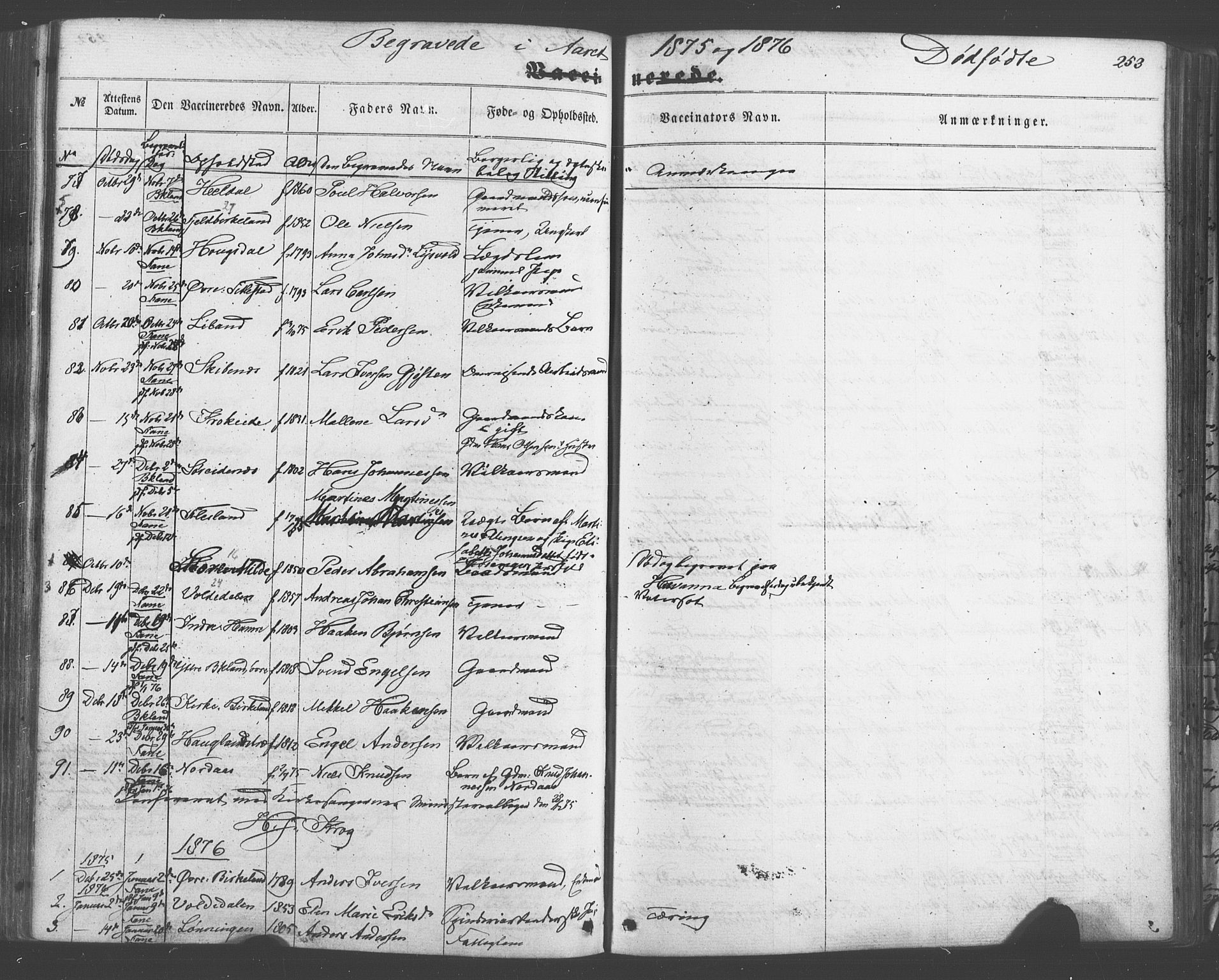 Fana Sokneprestembete, SAB/A-75101/H/Haa/Haaa/L0012: Parish register (official) no. A 12, 1862-1878, p. 253