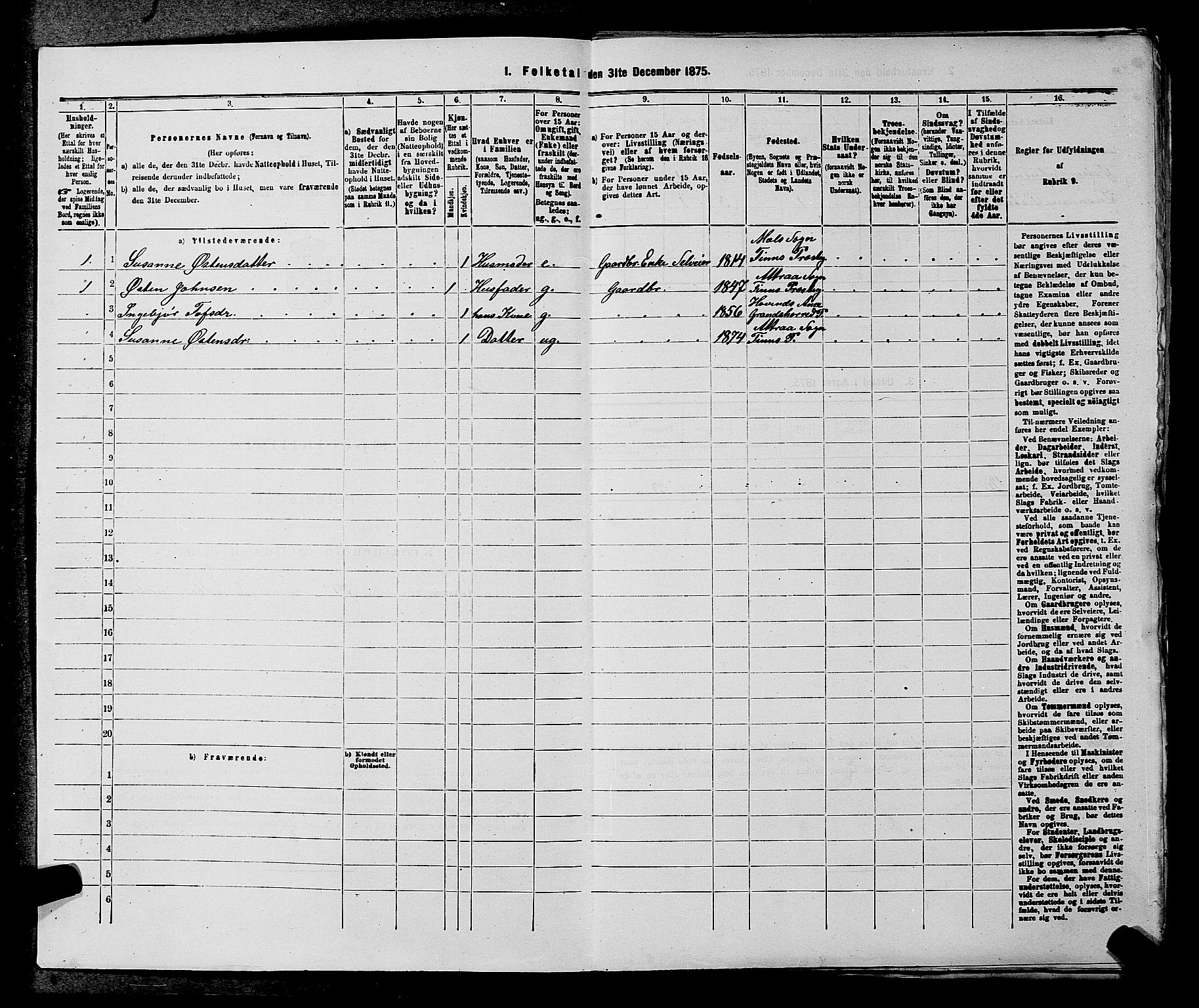 SAKO, 1875 census for 0826P Tinn, 1875, p. 41