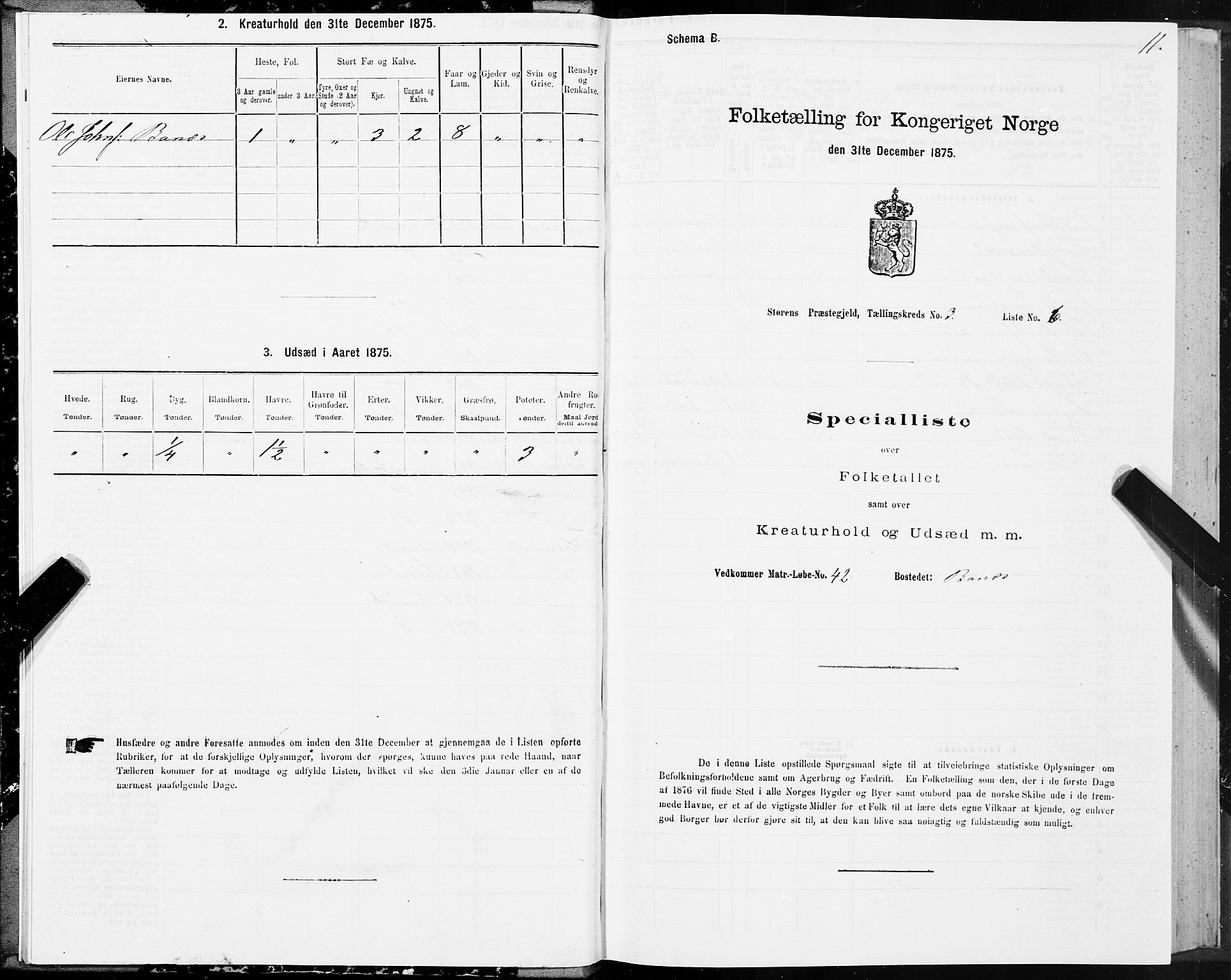 SAT, 1875 census for 1648P Støren, 1875, p. 2011