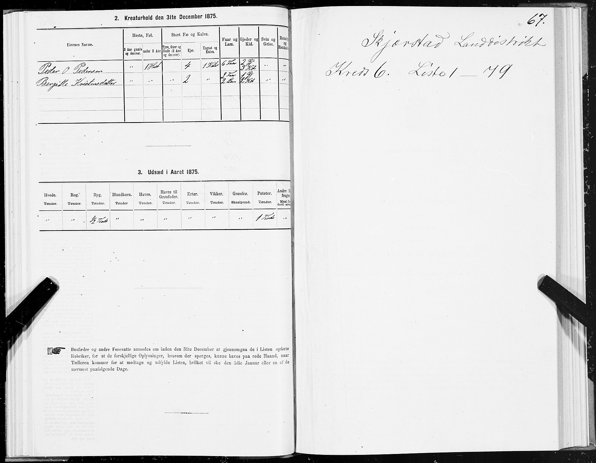 SAT, 1875 census for 1842P Skjerstad, 1875, p. 3067
