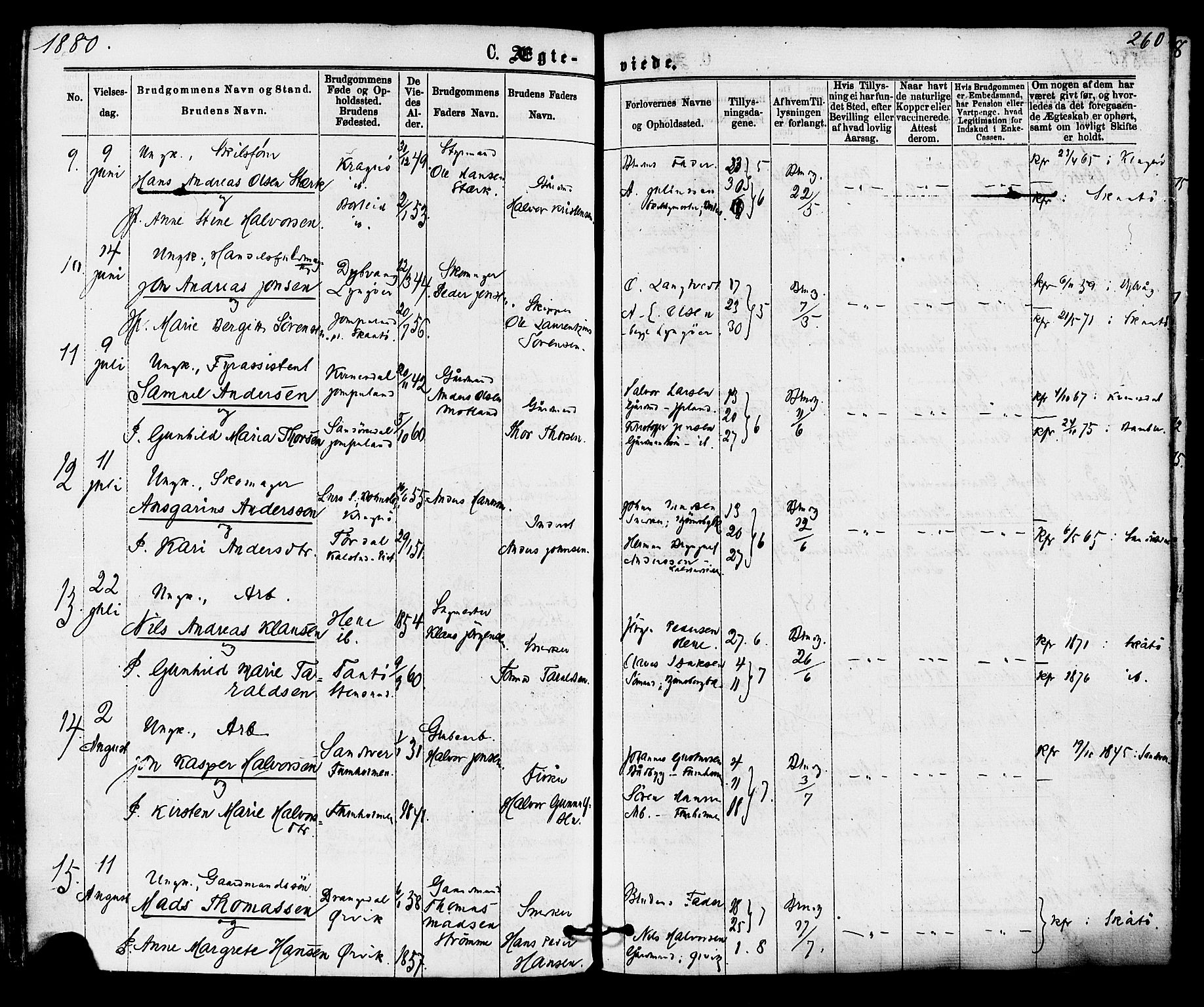 Skåtøy kirkebøker, SAKO/A-304/F/Fa/L0001: Parish register (official) no. I 1, 1874-1883, p. 260