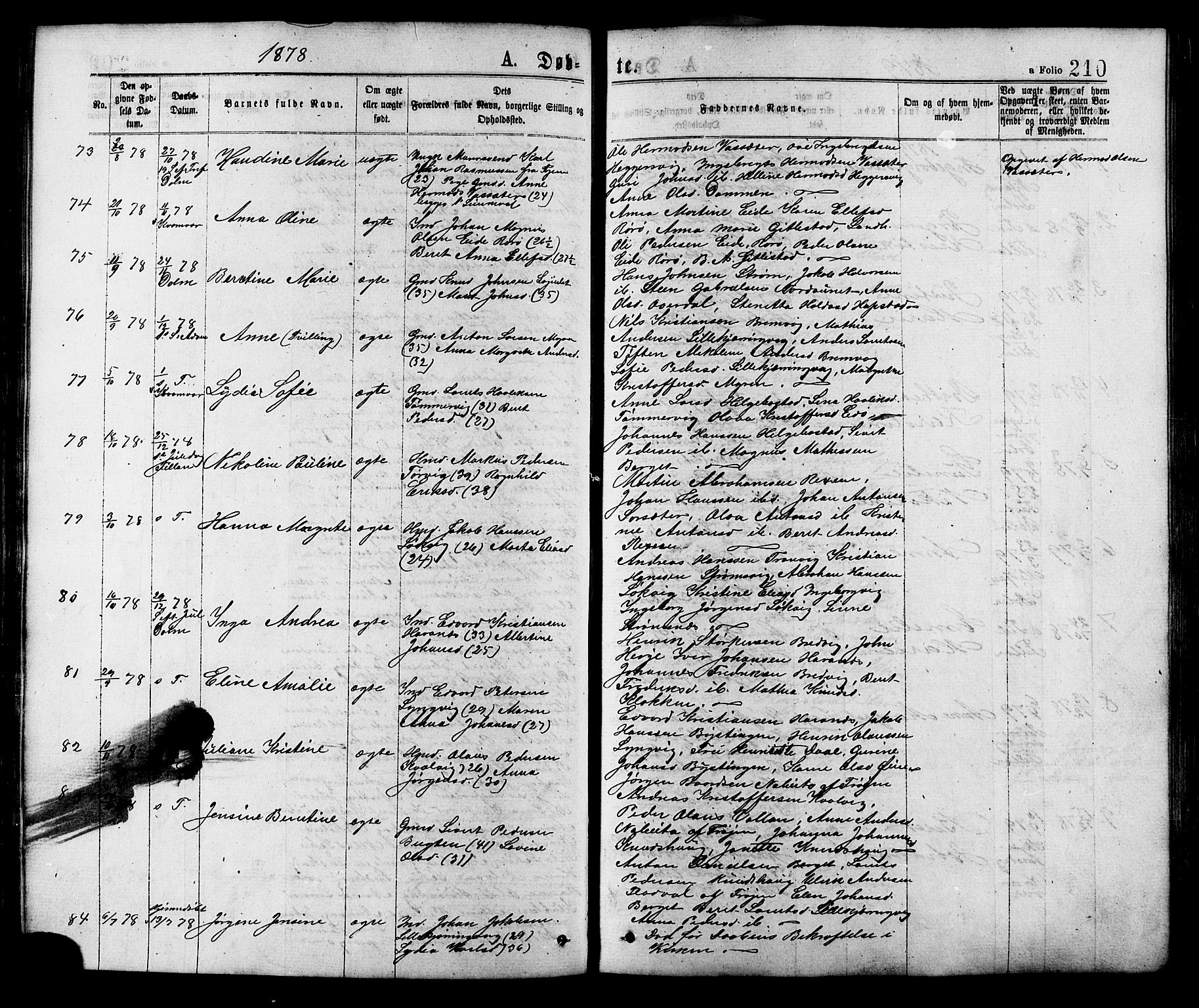 Ministerialprotokoller, klokkerbøker og fødselsregistre - Sør-Trøndelag, SAT/A-1456/634/L0532: Parish register (official) no. 634A08, 1871-1881, p. 210