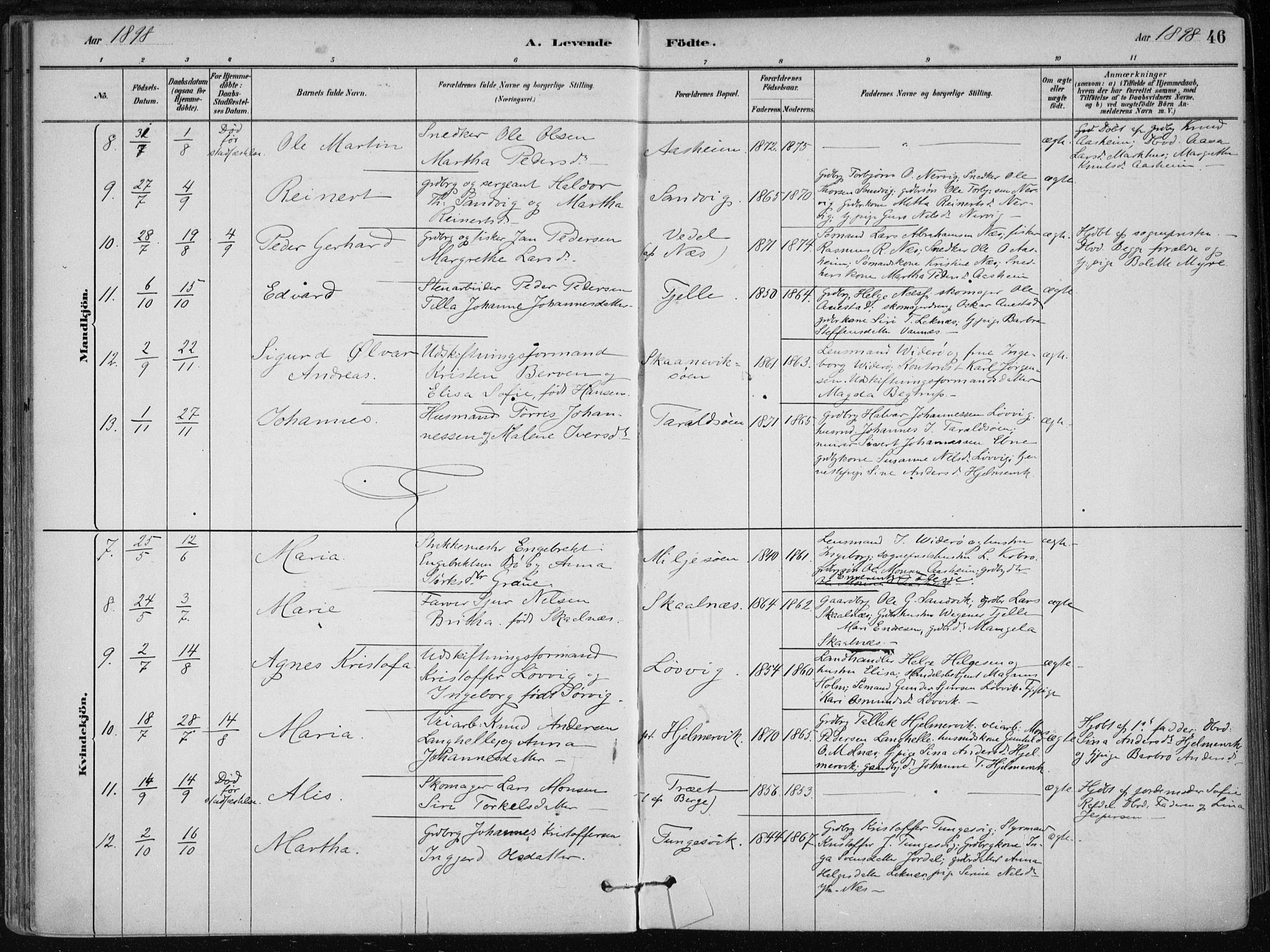 Skånevik sokneprestembete, AV/SAB-A-77801/H/Haa: Parish register (official) no. B 1, 1879-1914, p. 46