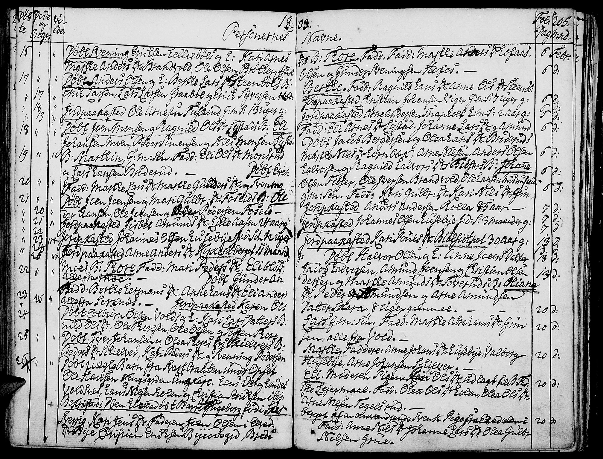 Grue prestekontor, AV/SAH-PREST-036/H/Ha/Haa/L0004: Parish register (official) no. 4, 1792-1805, p. 205