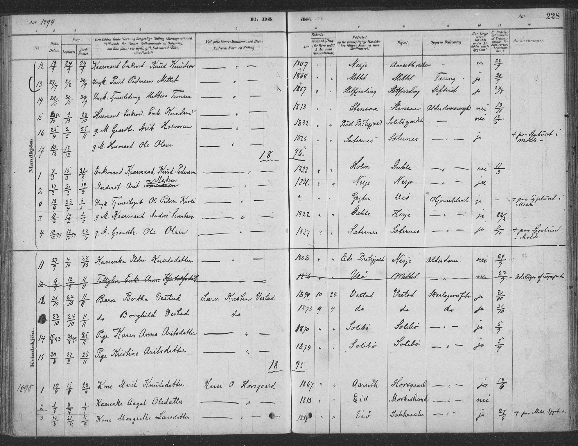 Ministerialprotokoller, klokkerbøker og fødselsregistre - Møre og Romsdal, SAT/A-1454/547/L0604: Parish register (official) no. 547A06, 1878-1906, p. 228