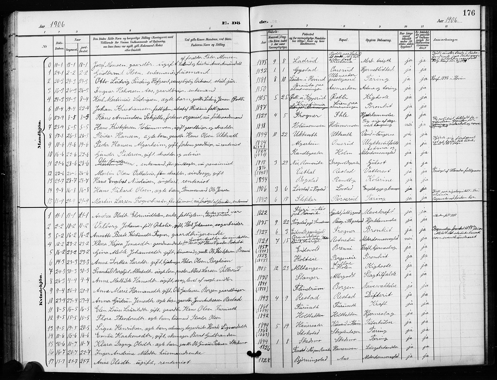Ullensaker prestekontor Kirkebøker, SAO/A-10236a/G/Ga/L0002: Parish register (copy) no. I 2, 1901-1913, p. 176