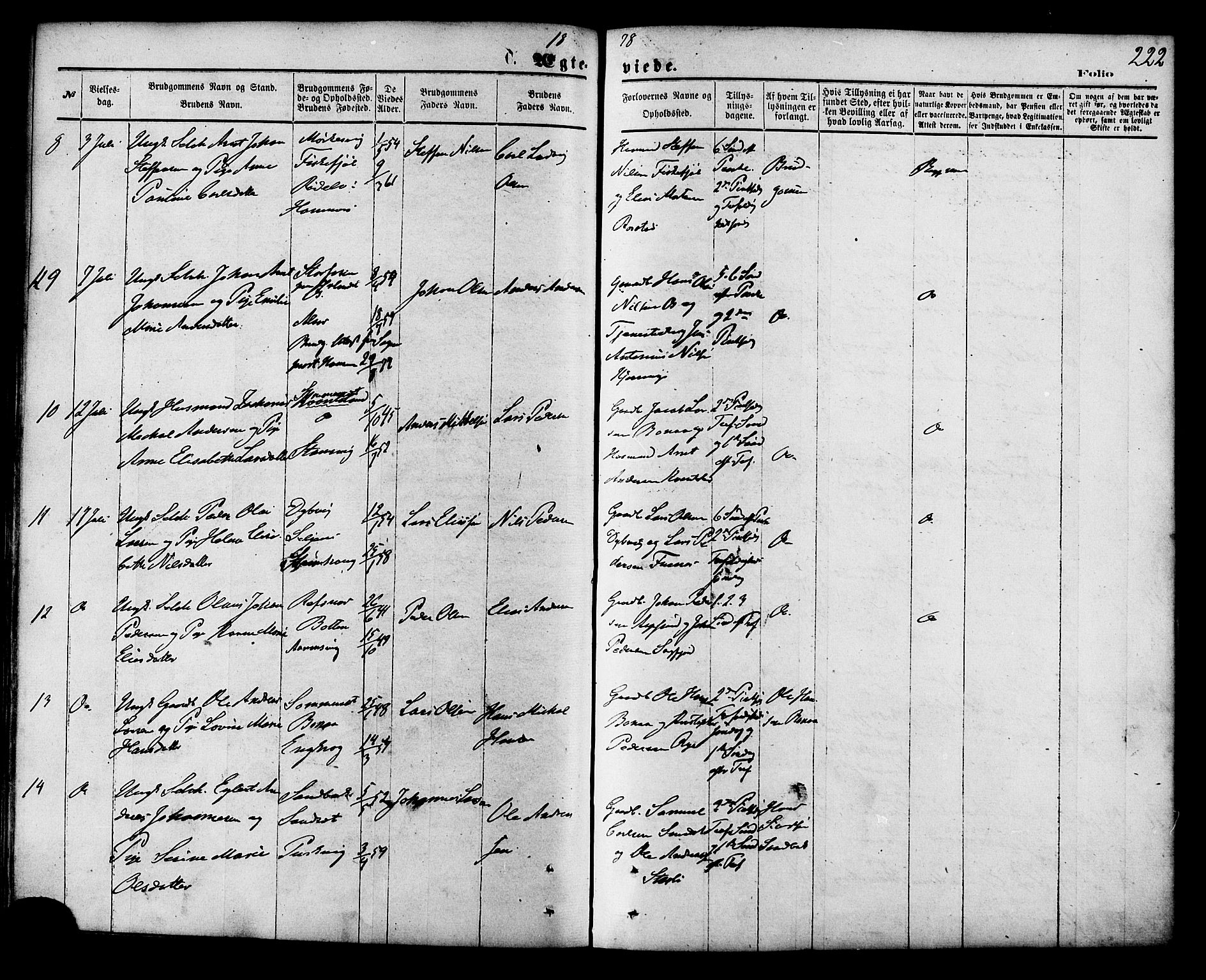 Ministerialprotokoller, klokkerbøker og fødselsregistre - Nordland, AV/SAT-A-1459/853/L0771: Parish register (official) no. 853A10, 1870-1881, p. 222