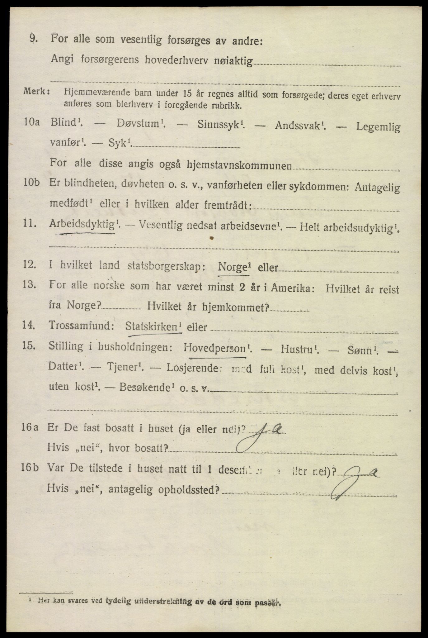 SAK, 1920 census for Hornnes, 1920, p. 2486