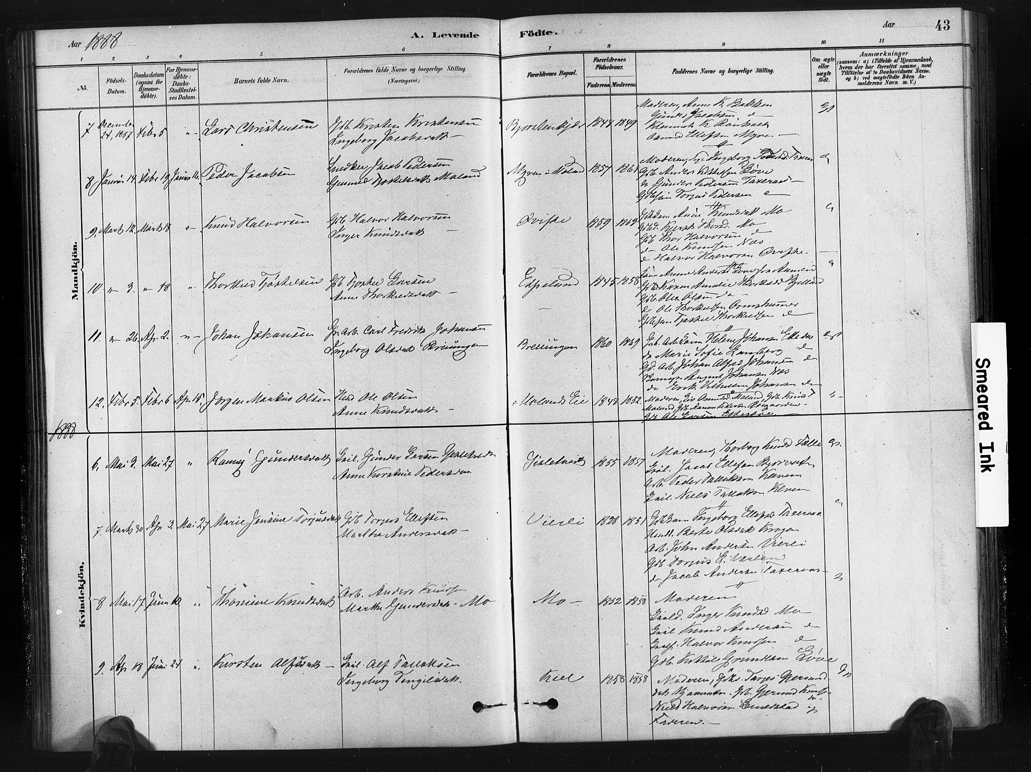 Gjerstad sokneprestkontor, AV/SAK-1111-0014/F/Fa/Fab/L0004: Parish register (official) no. A 4, 1879-1890, p. 43