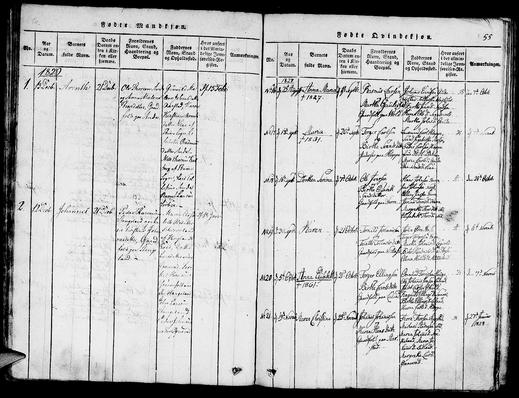 Klepp sokneprestkontor, SAST/A-101803/001/3/30BA/L0002: Parish register (official) no. A 2, 1816-1833, p. 55