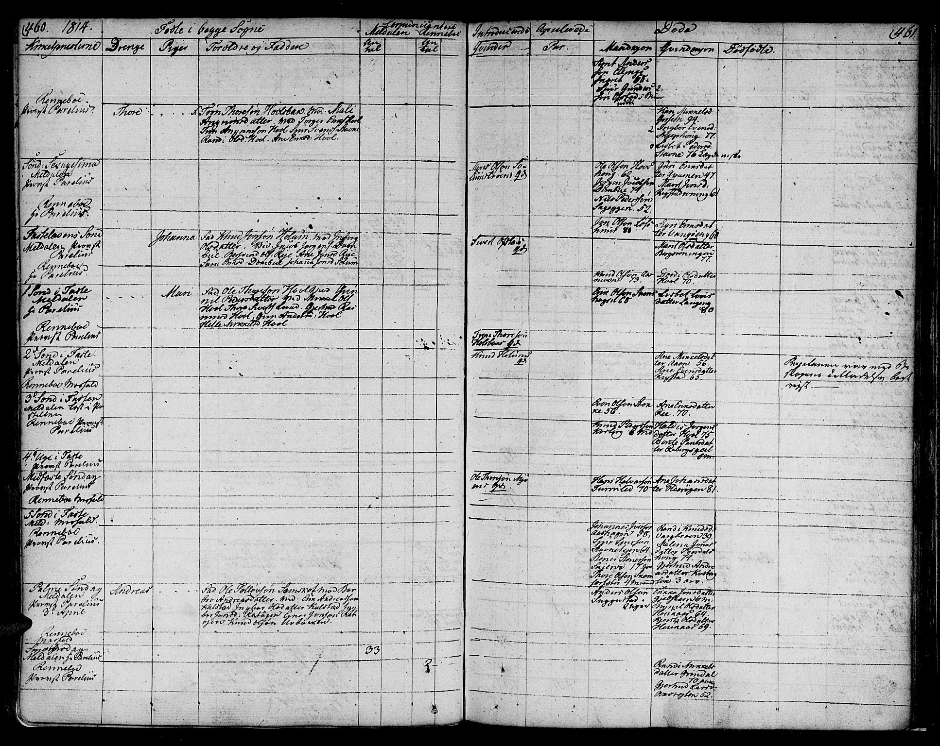 Ministerialprotokoller, klokkerbøker og fødselsregistre - Sør-Trøndelag, SAT/A-1456/672/L0852: Parish register (official) no. 672A05, 1776-1815, p. 460-461