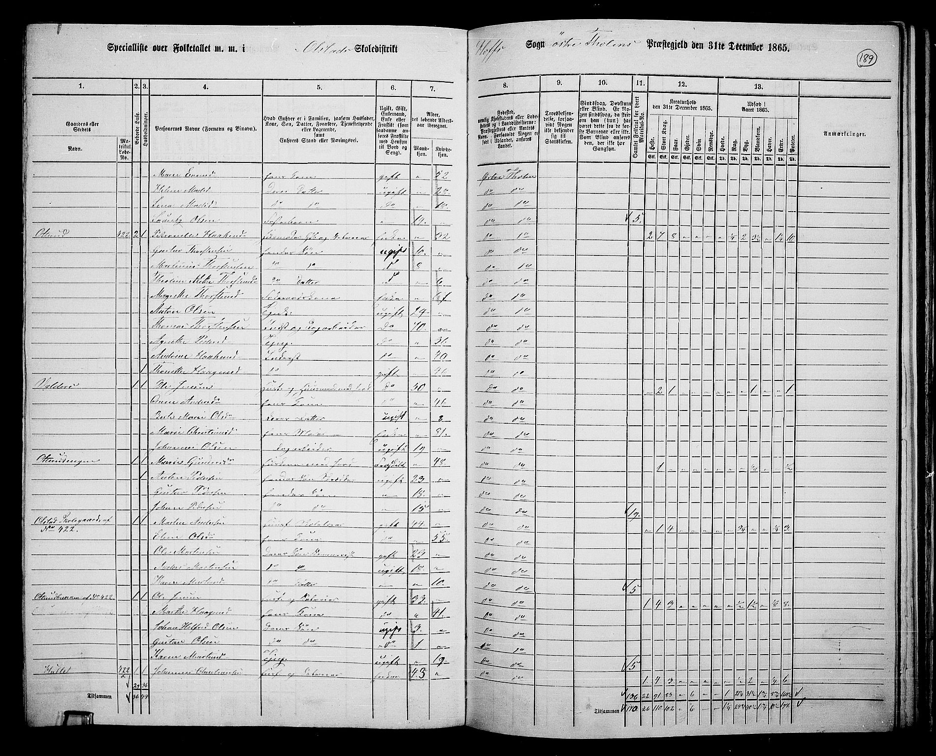 RA, 1865 census for Østre Toten, 1865, p. 301