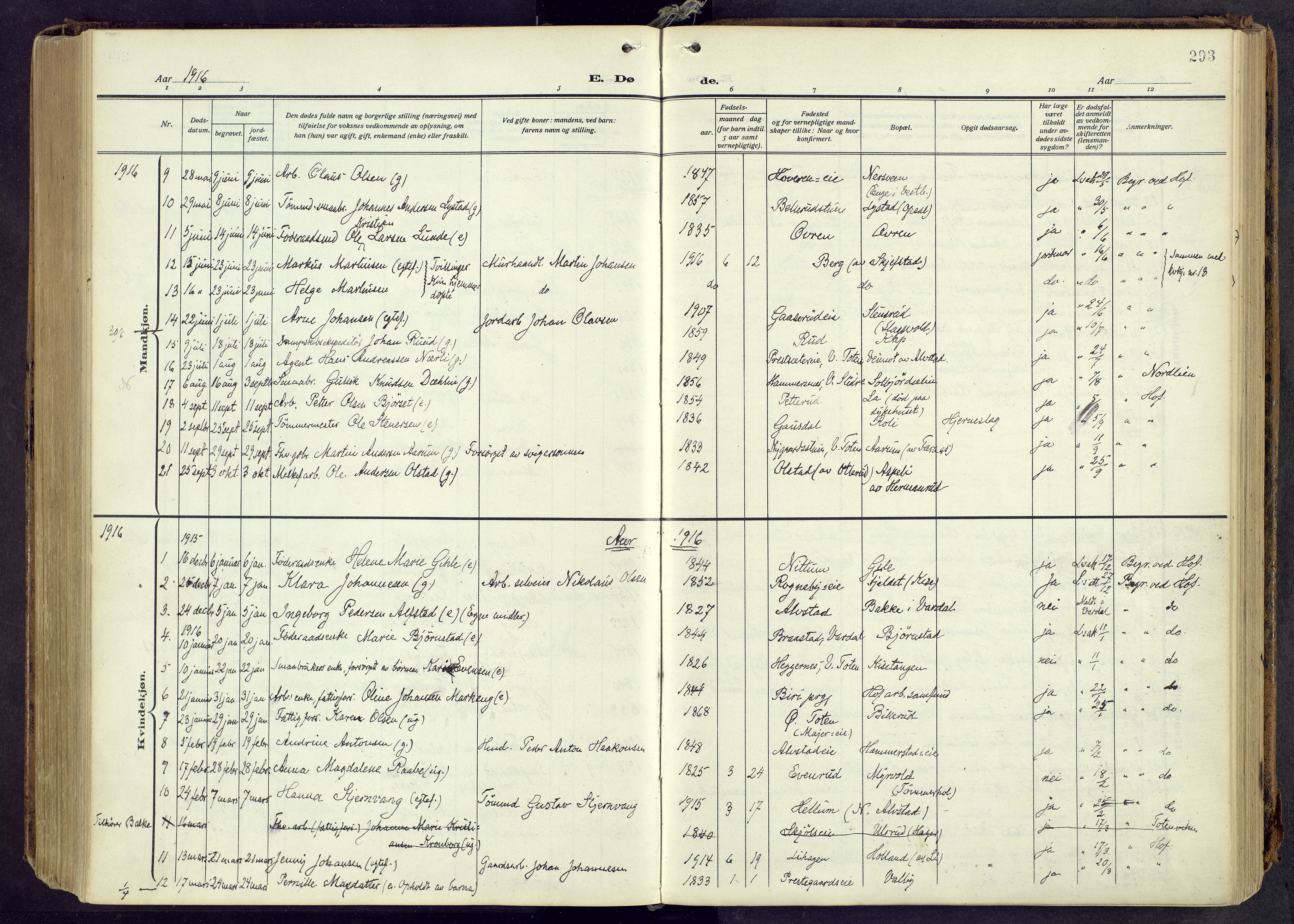 Østre Toten prestekontor, AV/SAH-PREST-104/H/Ha/Haa/L0010: Parish register (official) no. 10, 1910-1920, p. 293