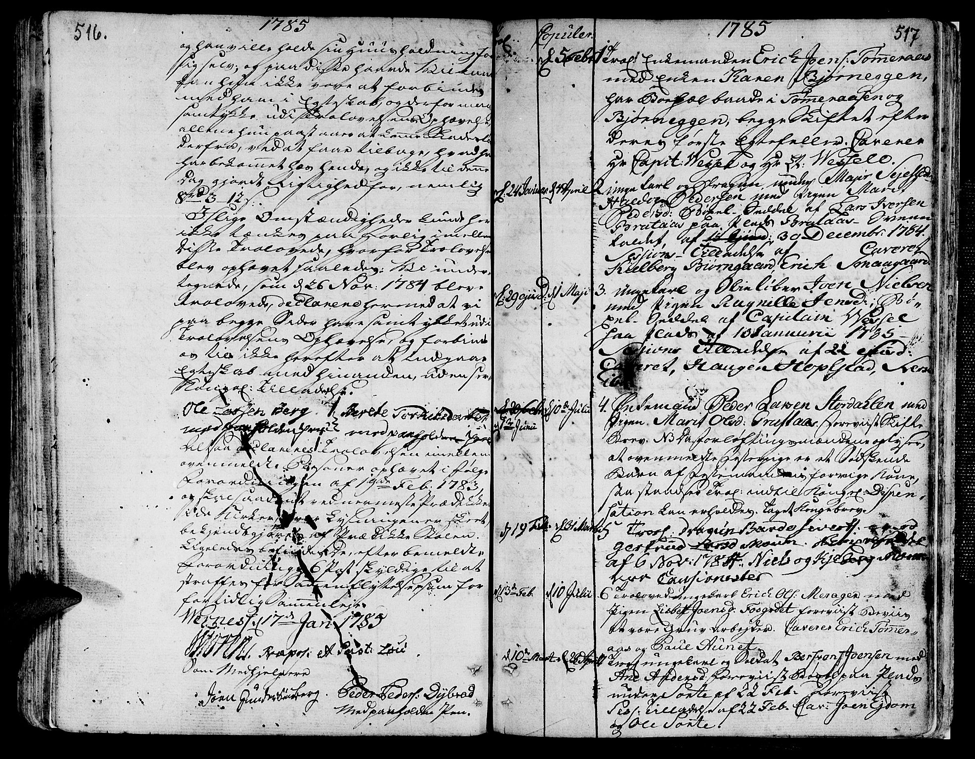 Ministerialprotokoller, klokkerbøker og fødselsregistre - Nord-Trøndelag, SAT/A-1458/709/L0059: Parish register (official) no. 709A06, 1781-1797, p. 516-517