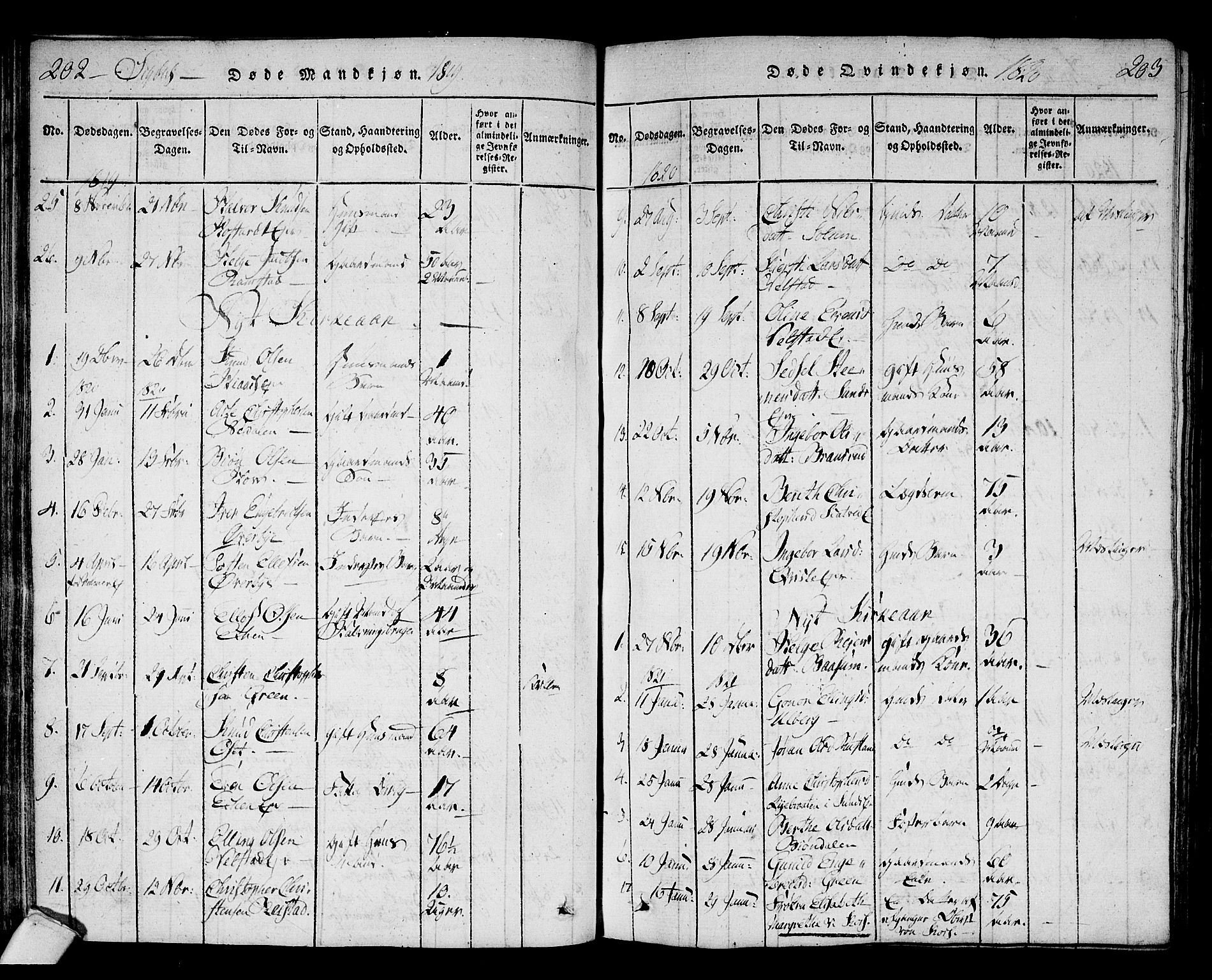 Sigdal kirkebøker, SAKO/A-245/F/Fa/L0005: Parish register (official) no. I 5 /1, 1815-1829, p. 202-203