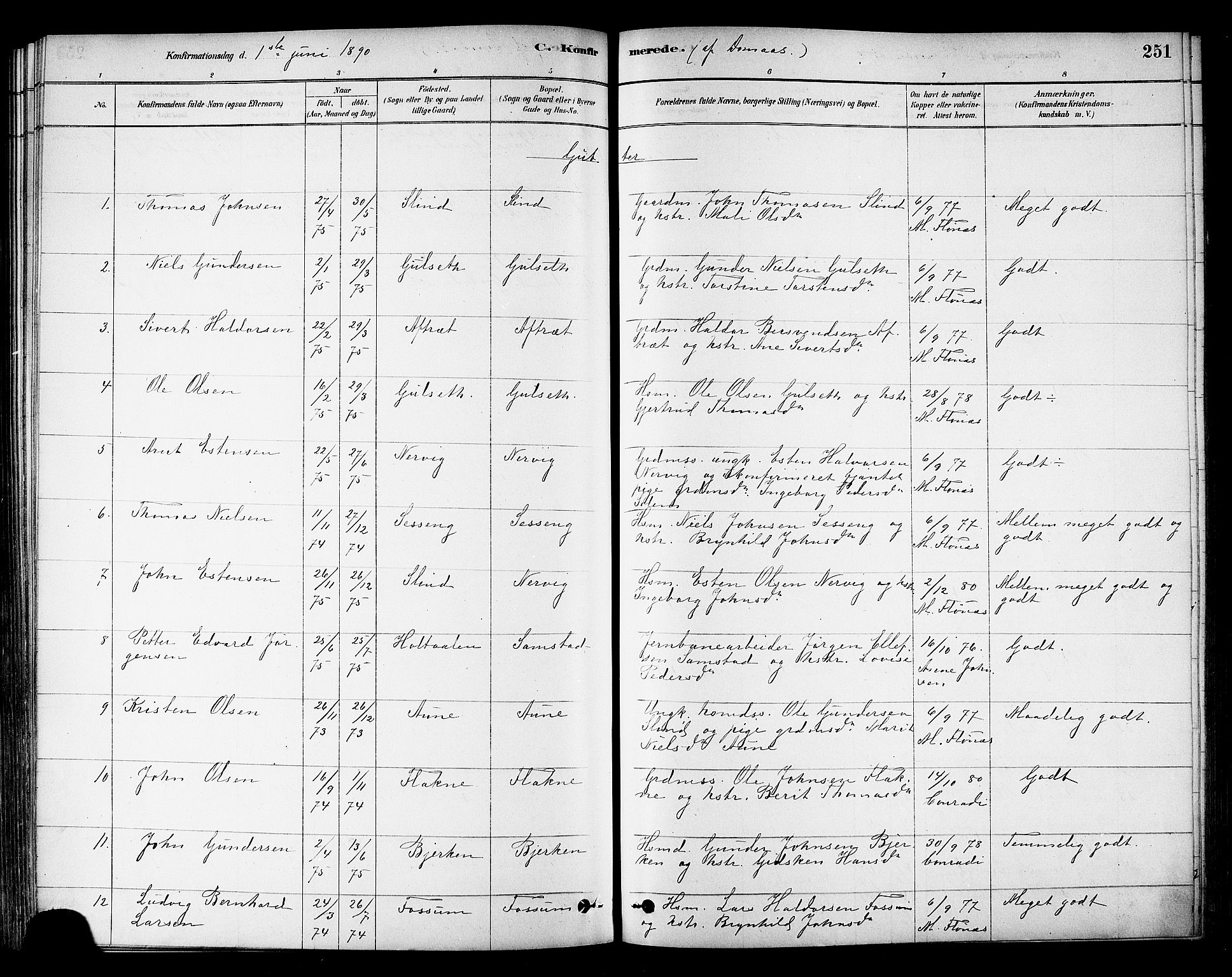 Ministerialprotokoller, klokkerbøker og fødselsregistre - Sør-Trøndelag, SAT/A-1456/695/L1148: Parish register (official) no. 695A08, 1878-1891, p. 251