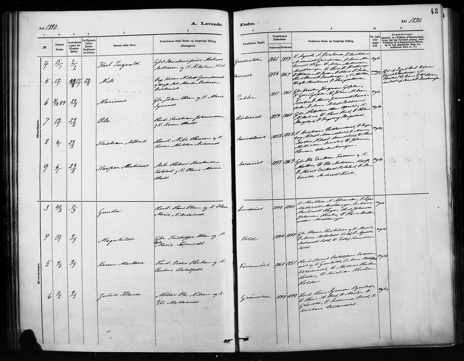 Nordre Land prestekontor, SAH/PREST-124/H/Ha/Haa/L0004: Parish register (official) no. 4, 1882-1896, p. 43