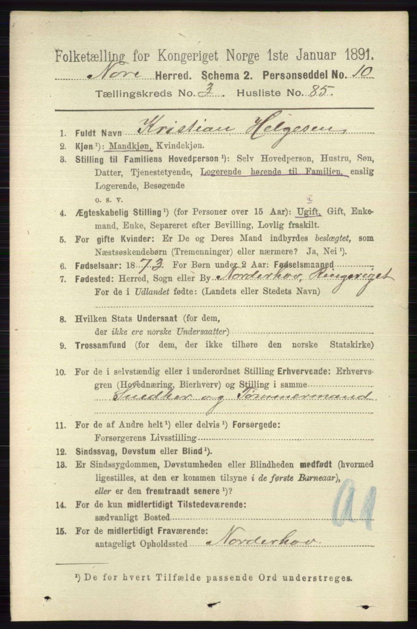 RA, 1891 census for 0633 Nore, 1891, p. 1217