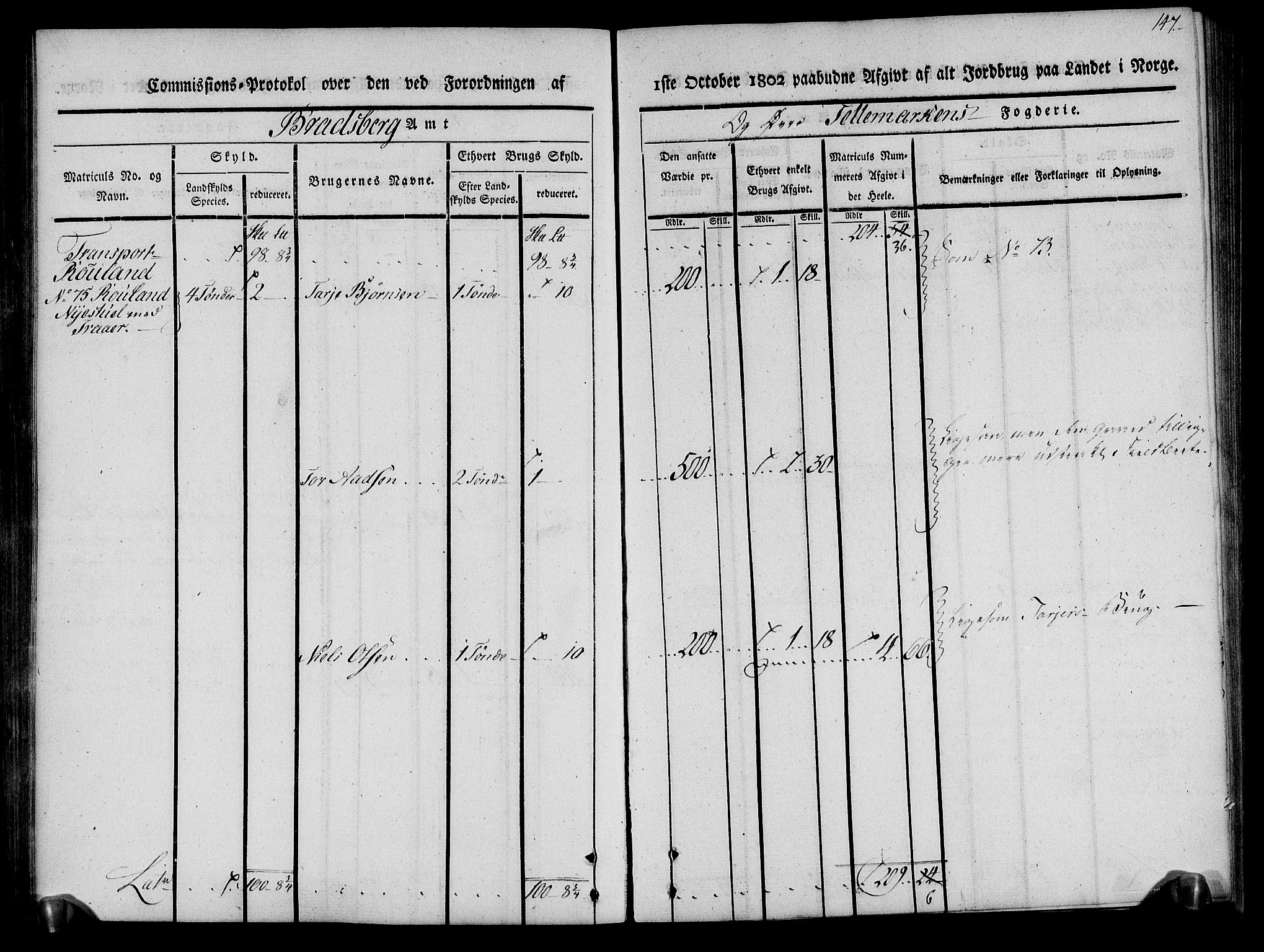 Rentekammeret inntil 1814, Realistisk ordnet avdeling, RA/EA-4070/N/Ne/Nea/L0075: Øvre Telemarken fogderi. Kommisjonsprotokoll for fogderiets vestre del - Kviteseid, Vinje, Moland [):Fyresdal] og Lårdal prestegjeld., 1803, p. 148